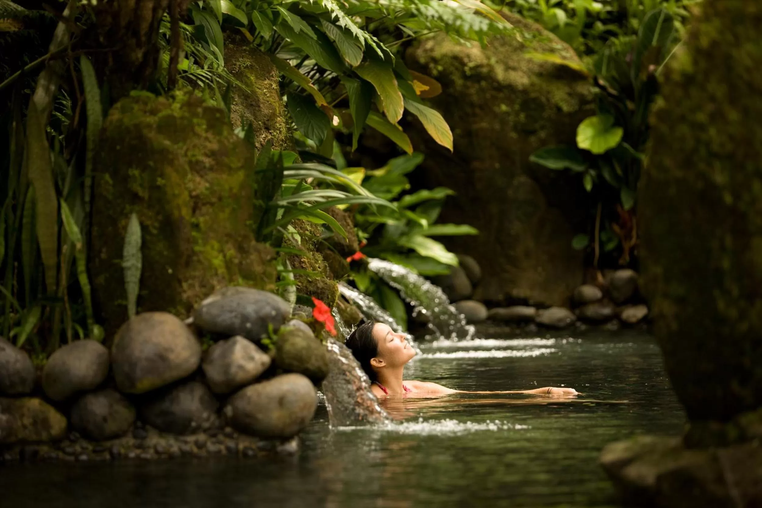 Spring in The Royal Pita Maha