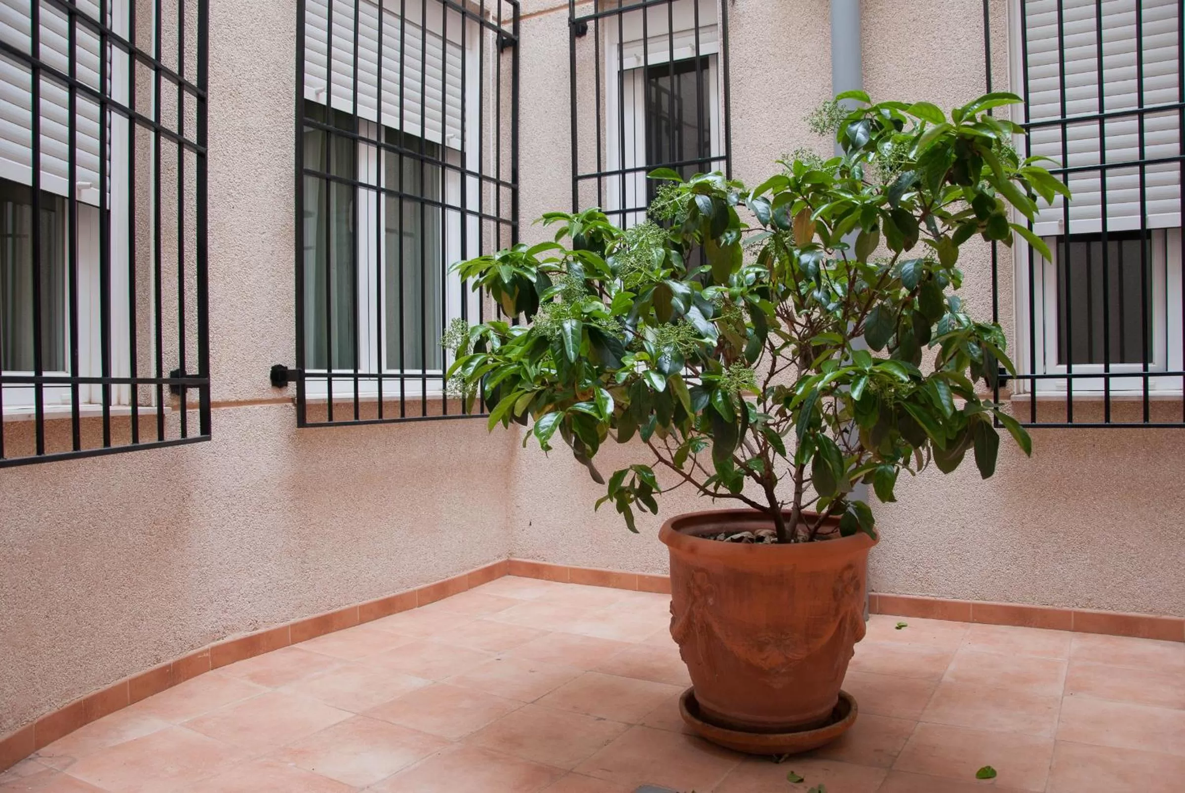 Decorative detail in Hotel Hidalgo Quijada