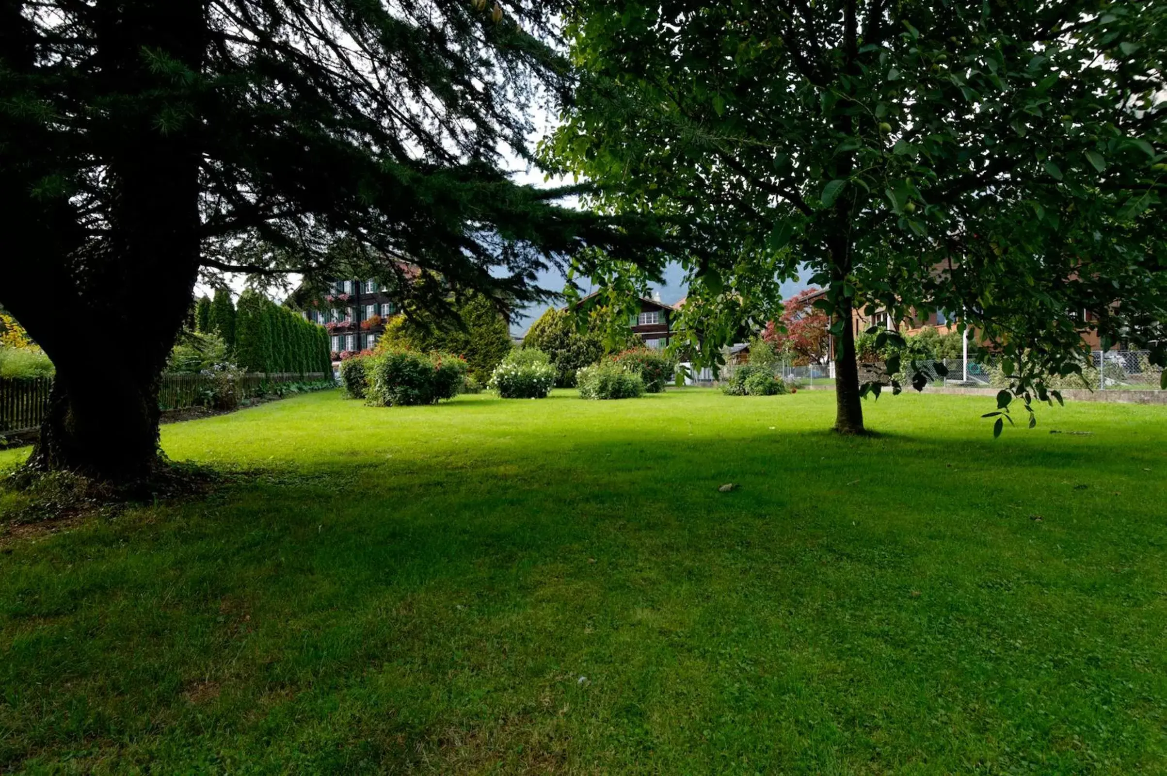 Garden in Hotel Beausite