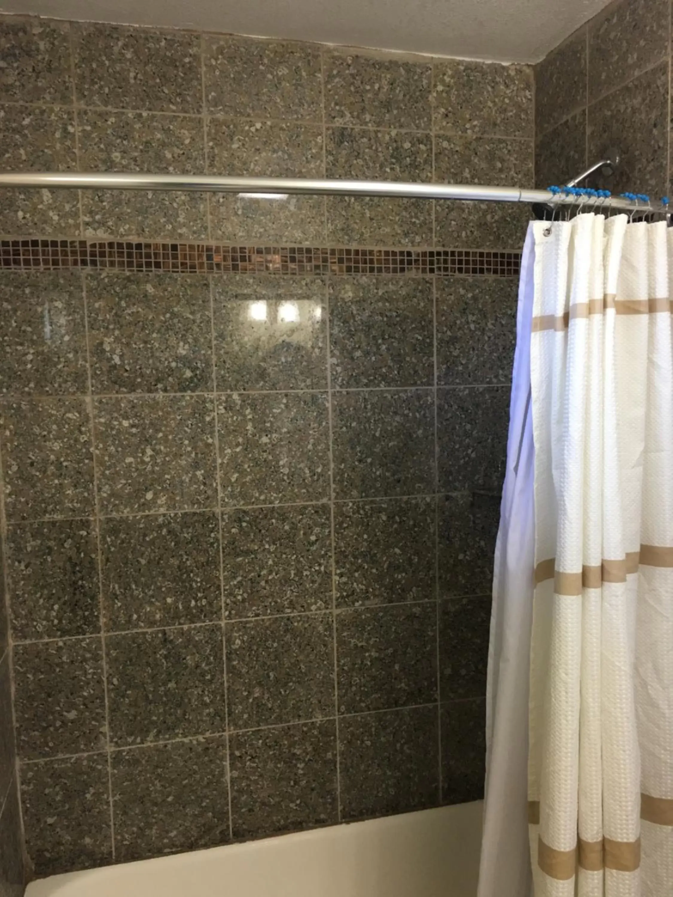 Shower, Bathroom in Wagon Wheel Motel