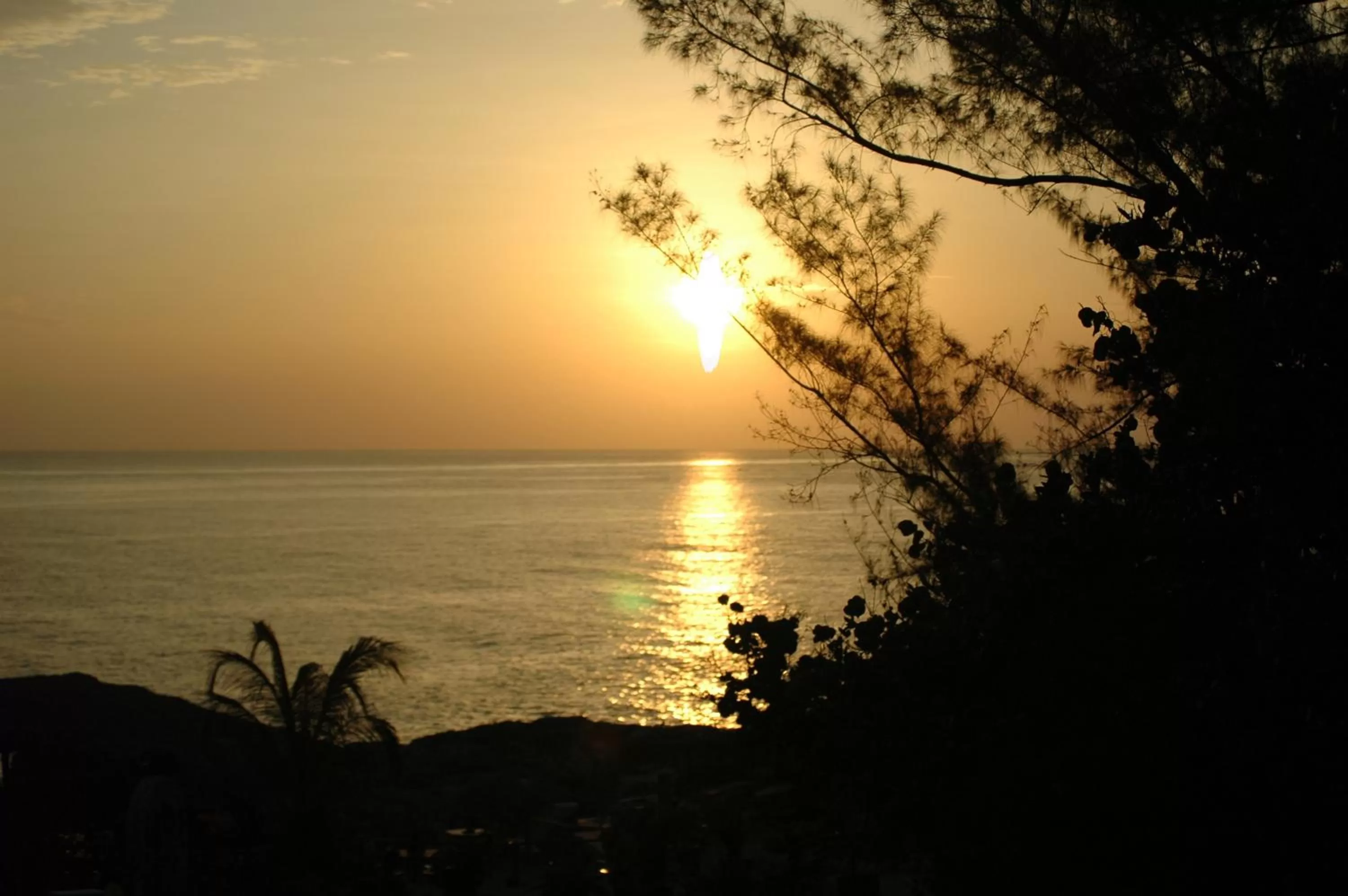 Natural landscape in Catcha Falling Star