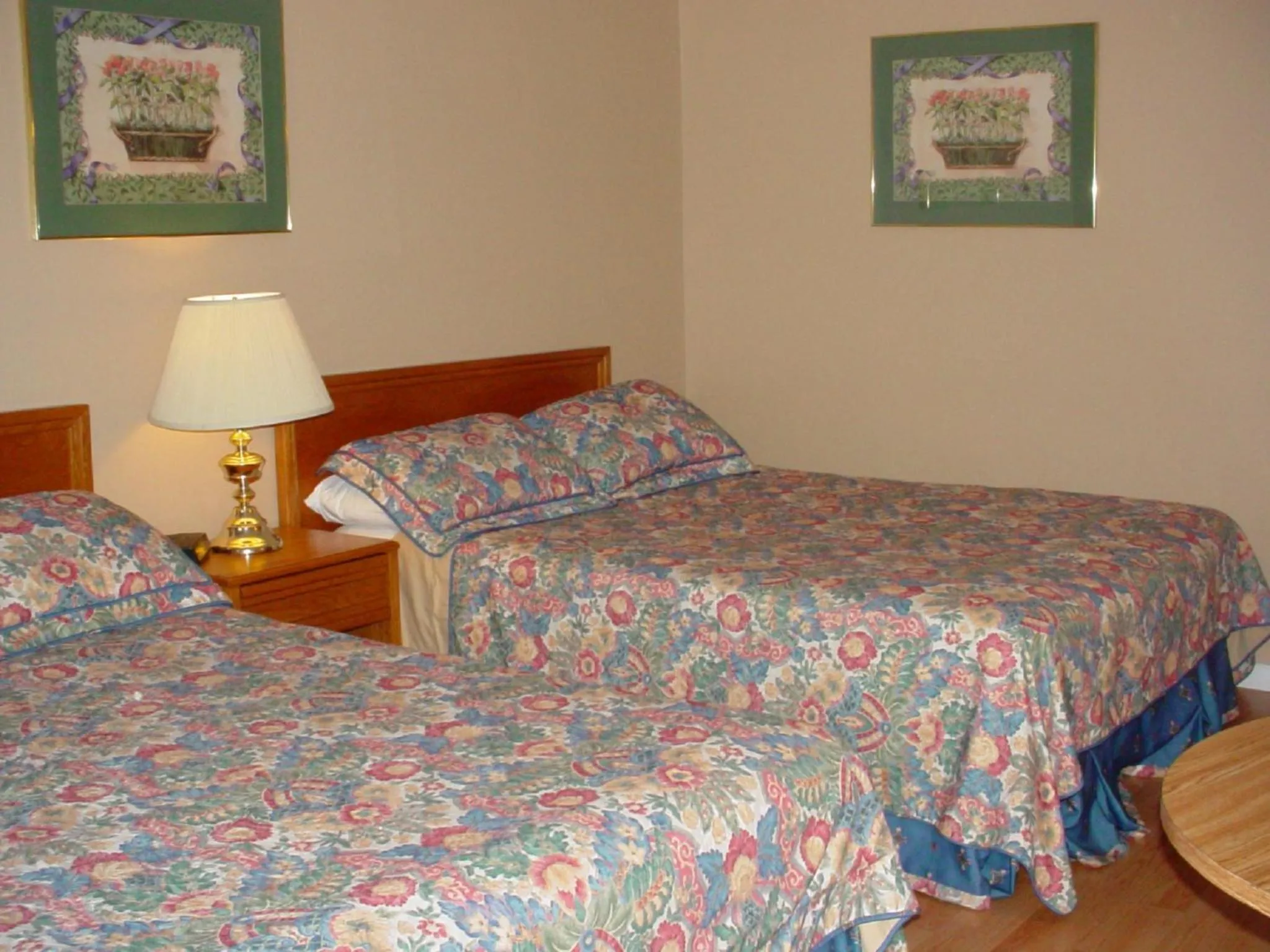 Bed in Blue Moon Motel