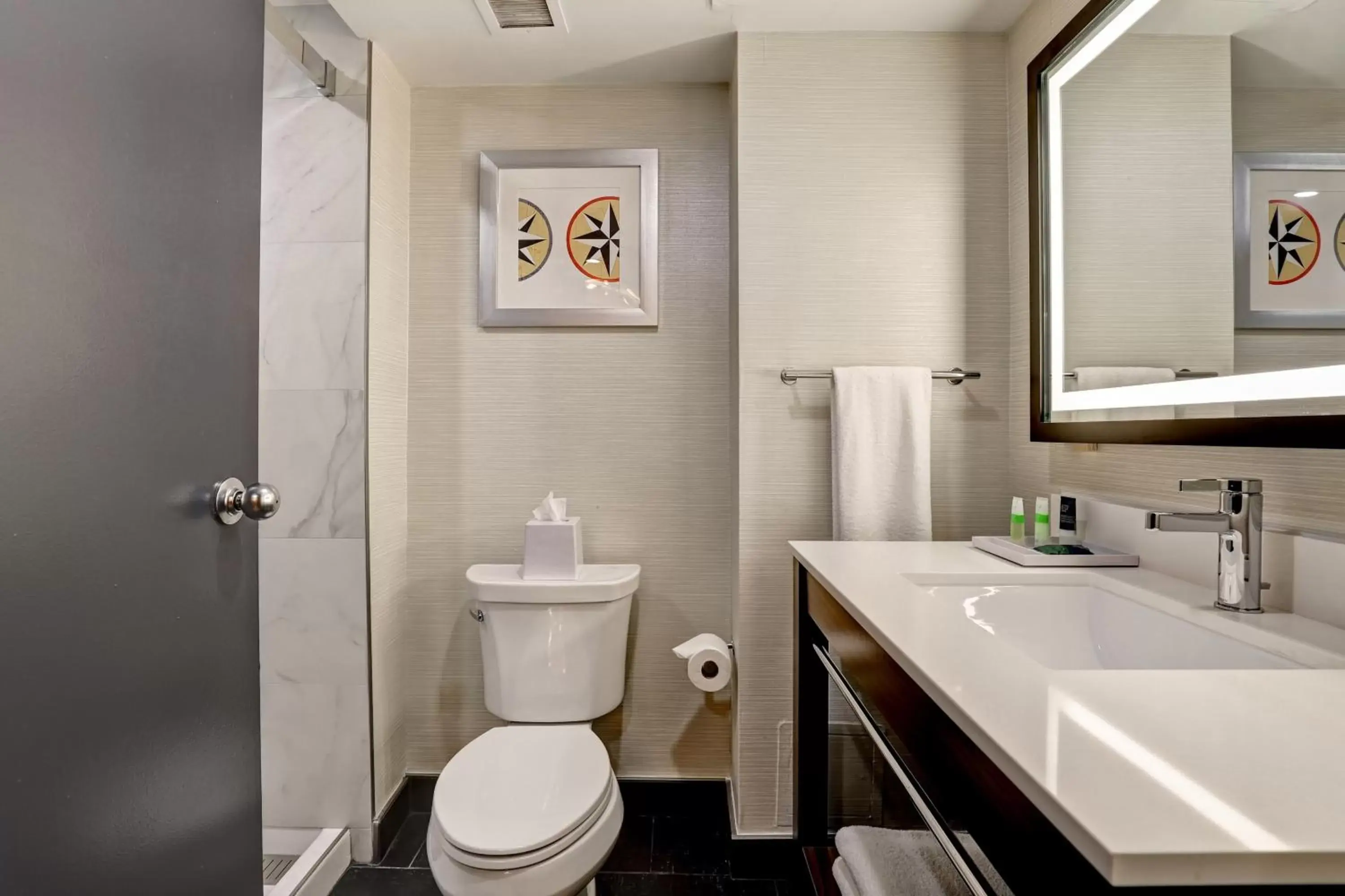 Bathroom in Four Points by Sheraton St. Catharines Niagara Suites