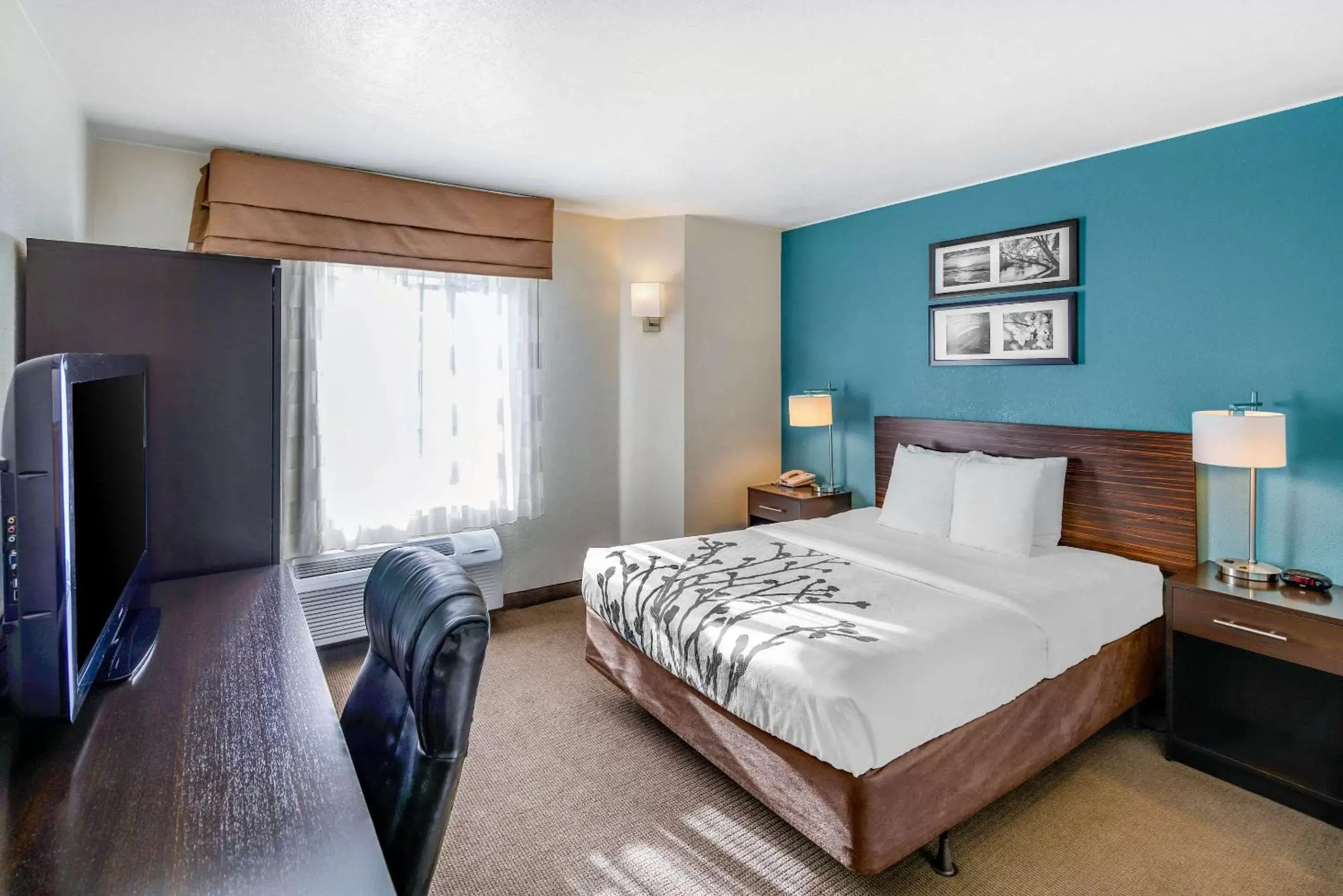 Photo of the whole room, Bed in Sleep Inn near Washington State Line