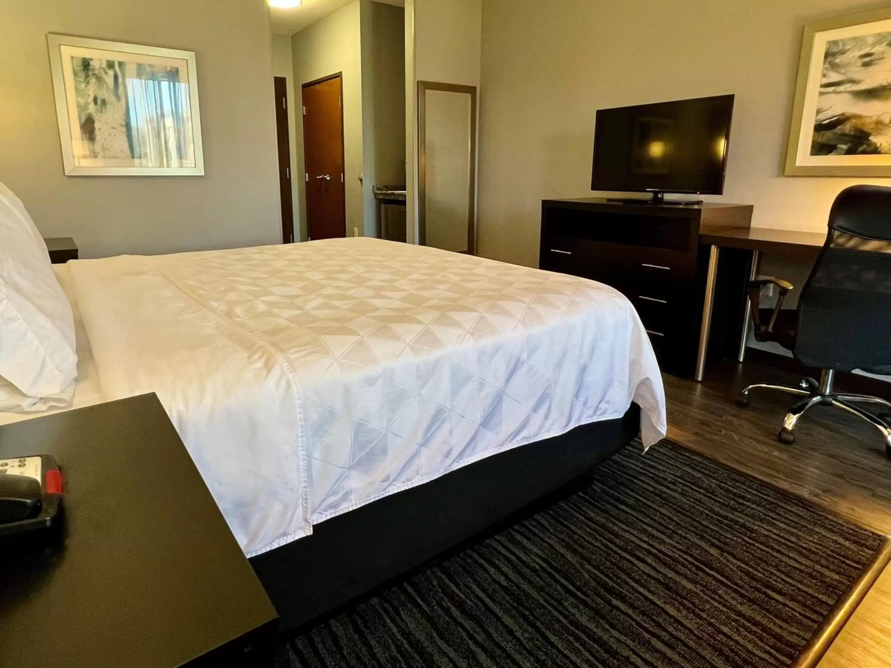 Standard Double or Twin Room in Holiday Inn Carlsbad/San Diego, an IHG Hotel