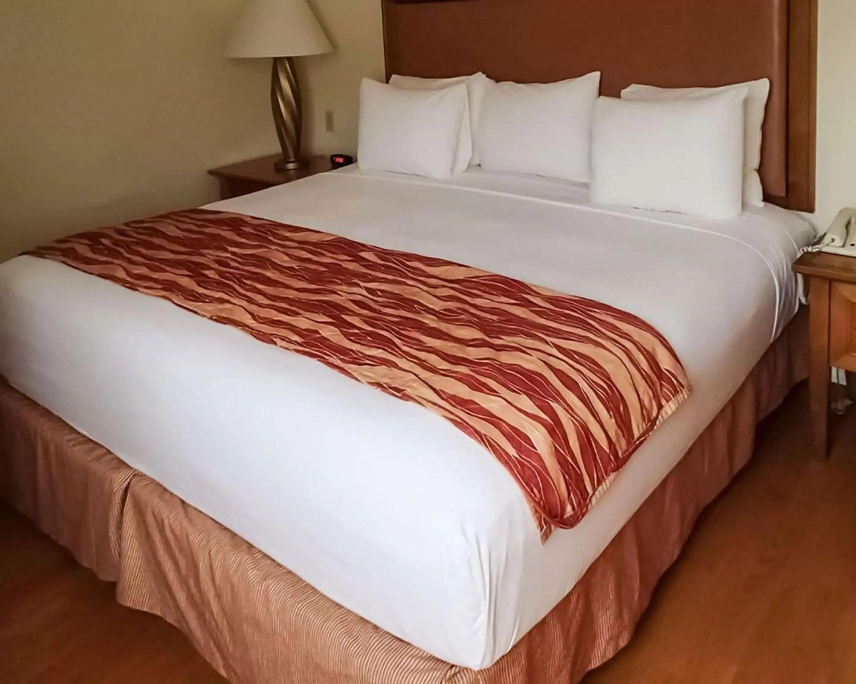 Photo of the whole room, Bed in Rodeway Inn South Miami - Coral Gables South Miami