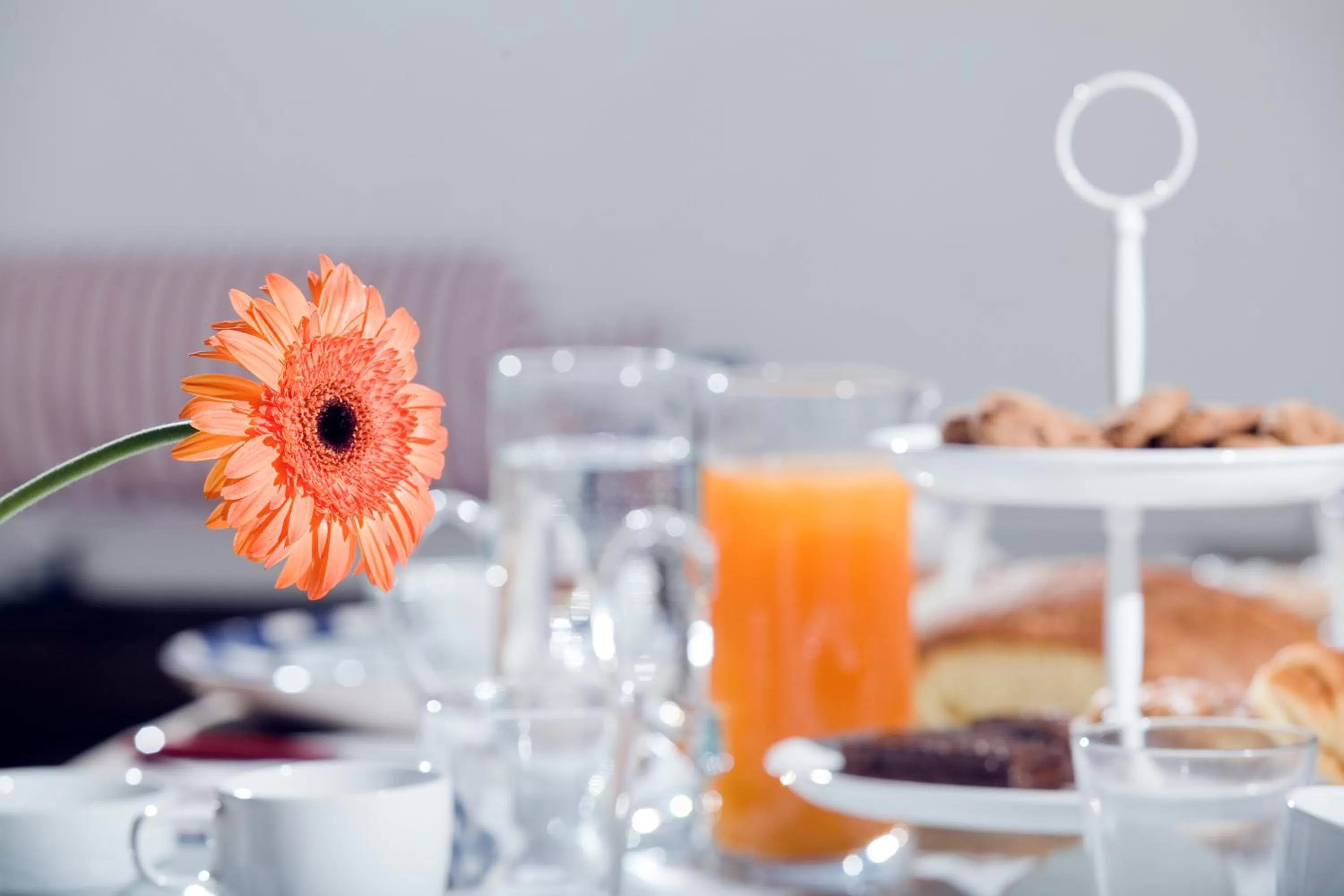 Food close-up in Il Vicolo B&B