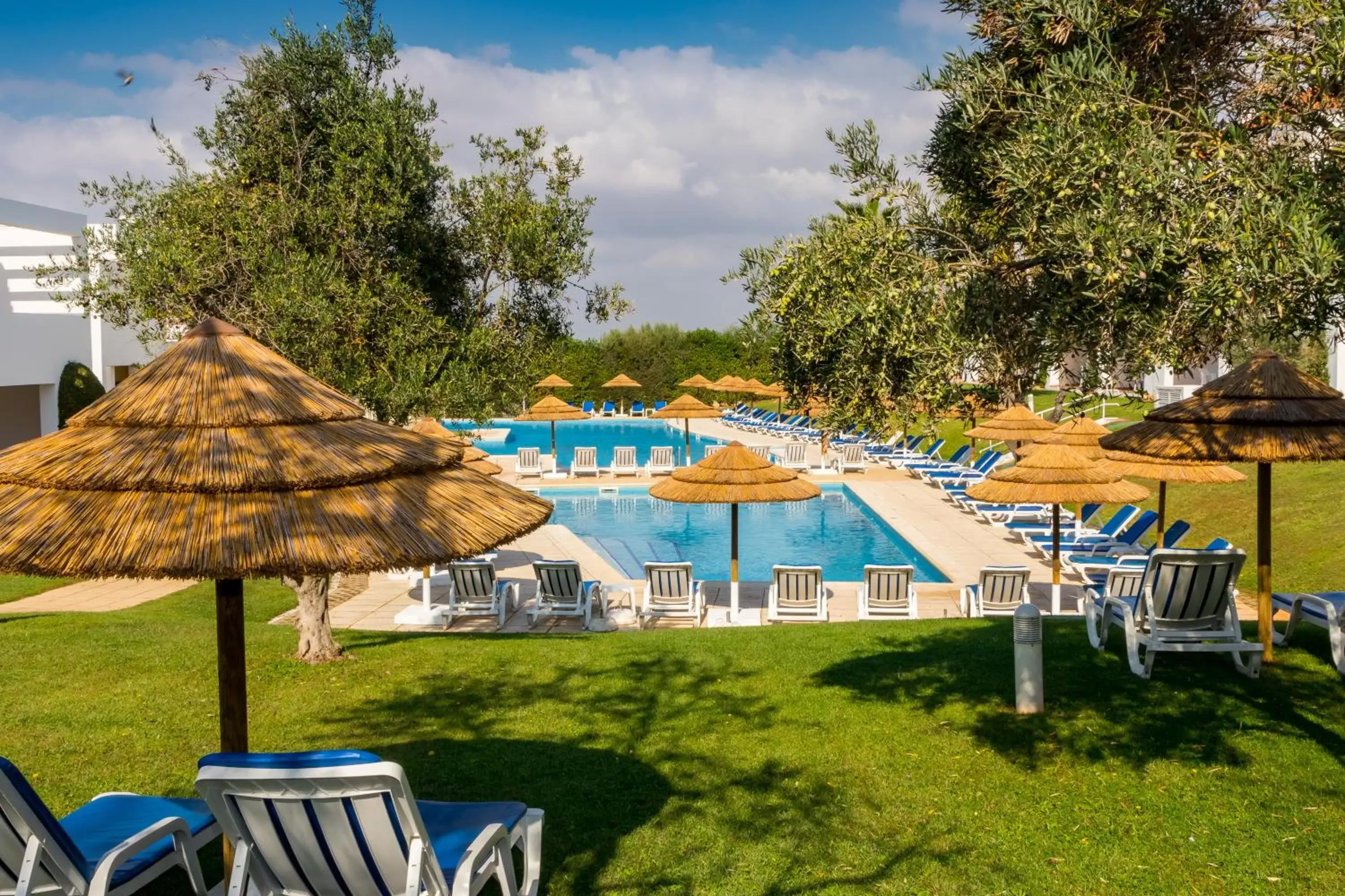 Garden, Pool View in Pateo Village