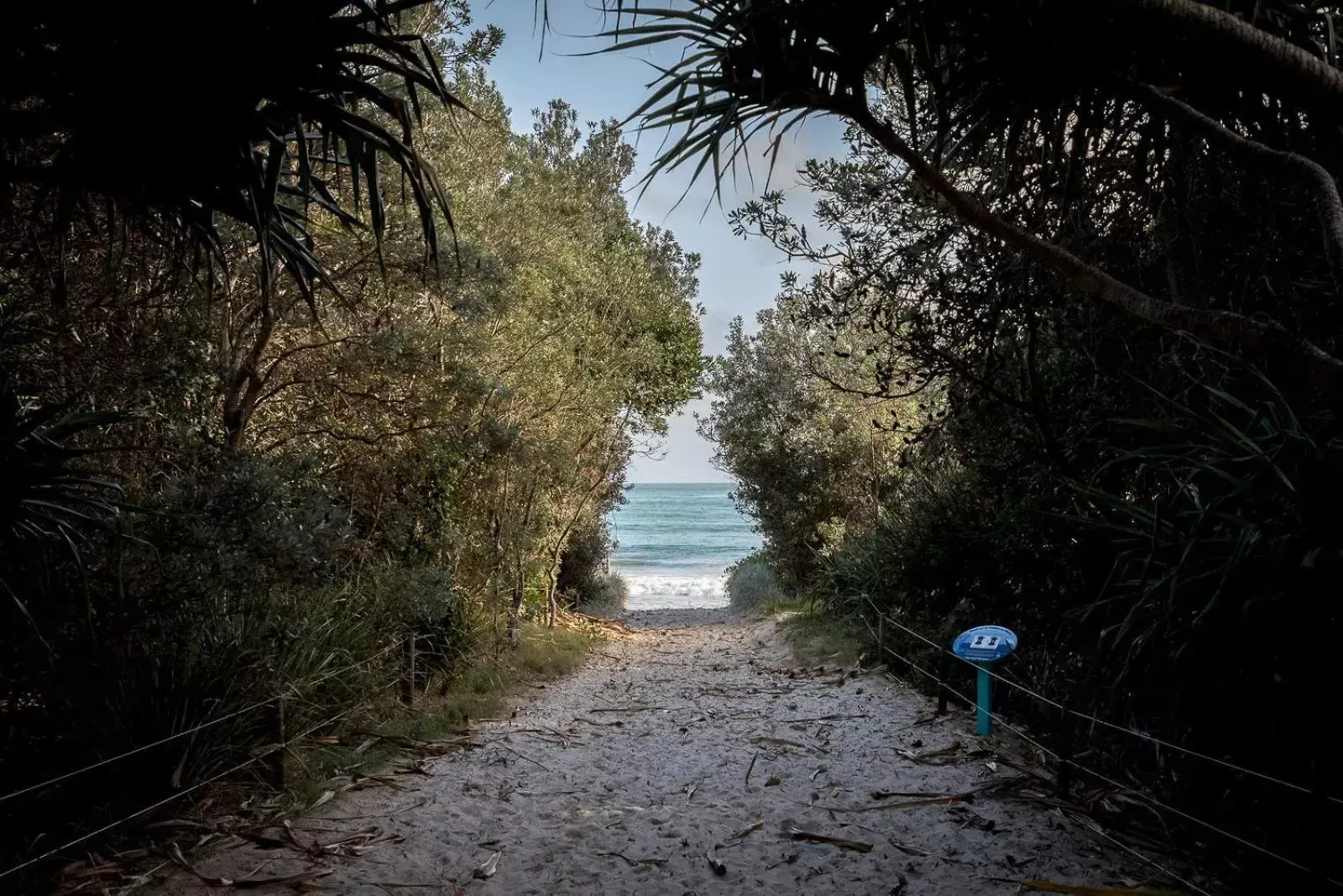 Natural landscape in Byron Pacific Apartments - On Clarkes Beach