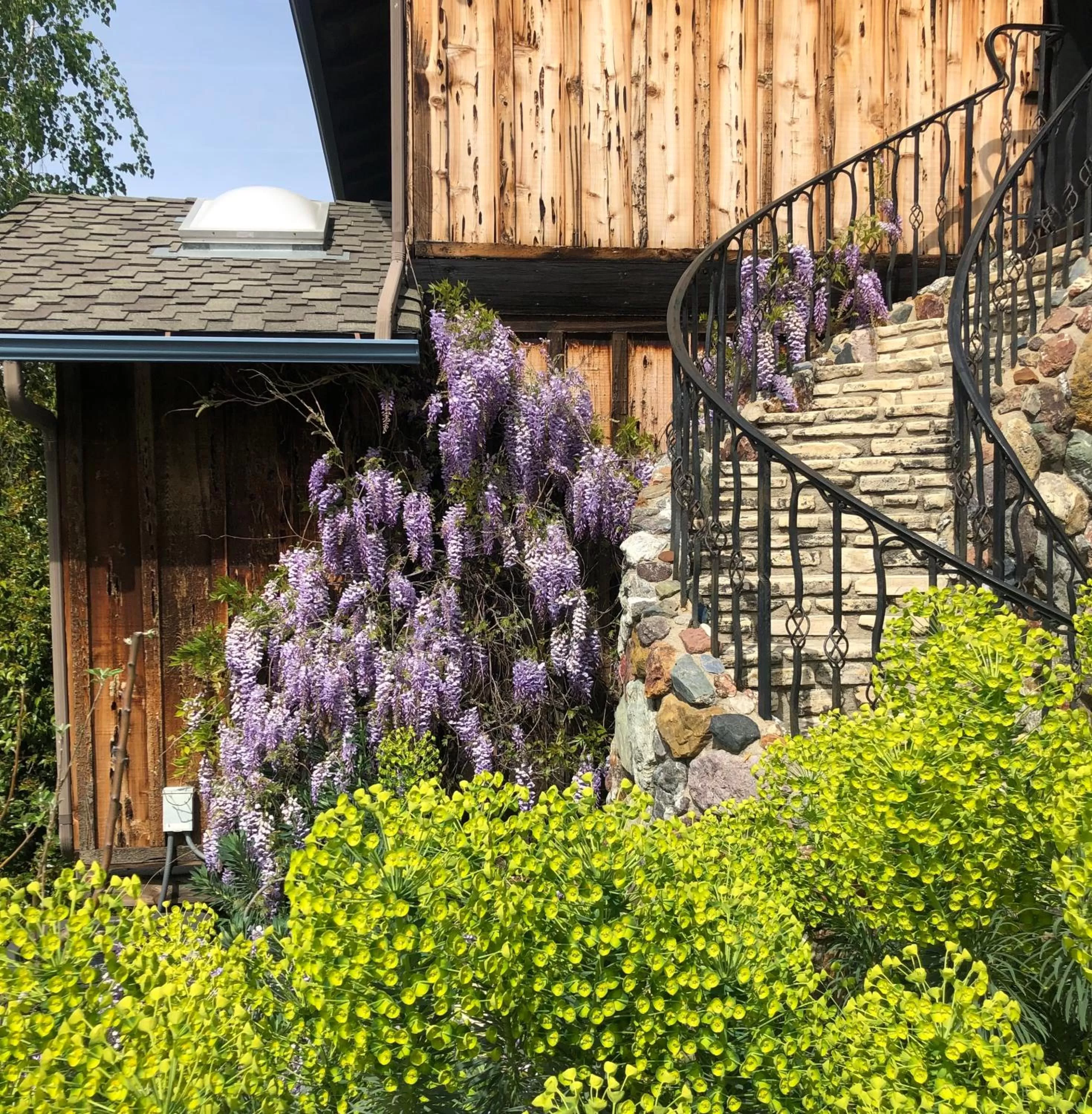 Garden in Inn Paradiso