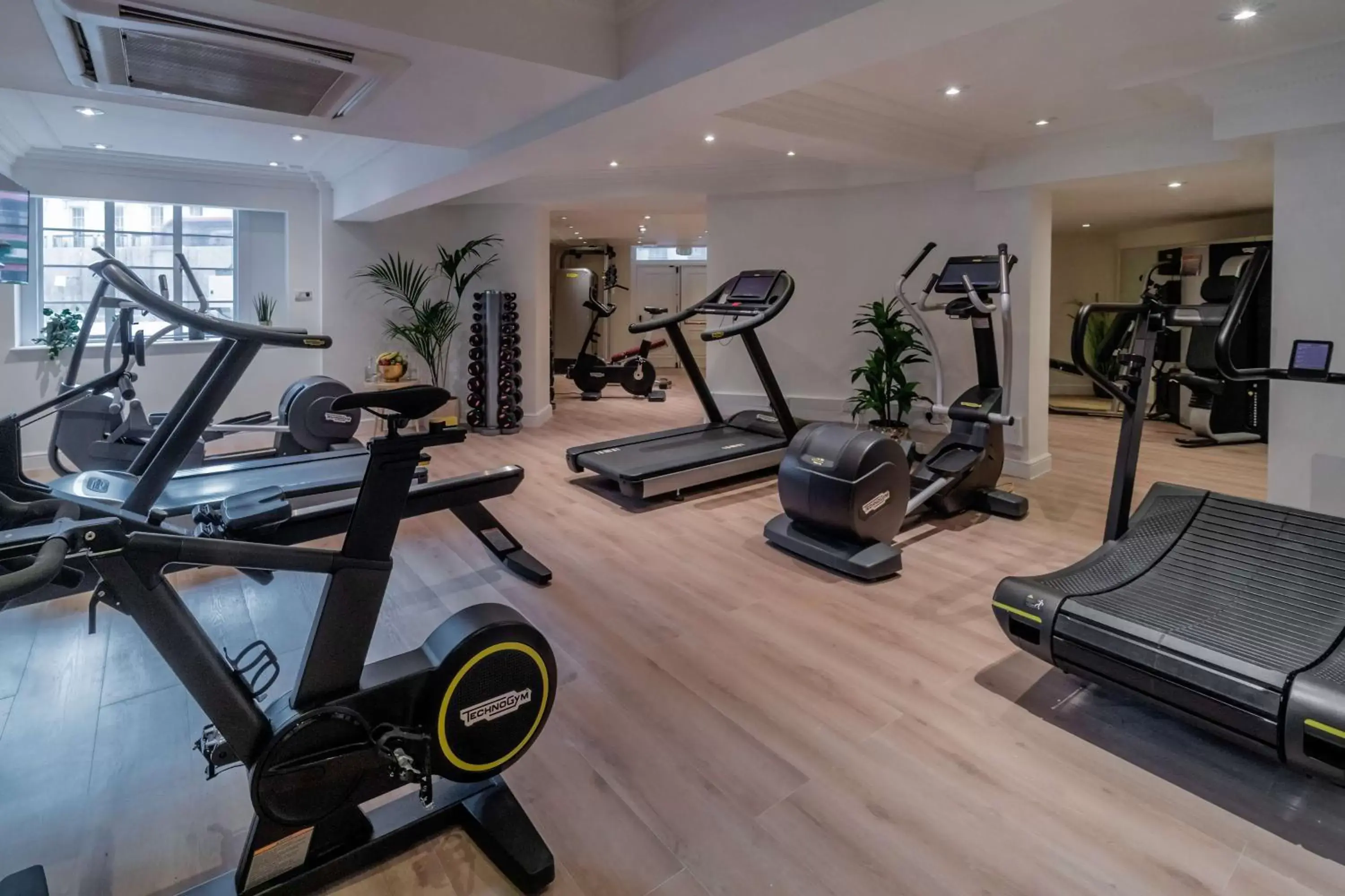Activities, Fitness Center/Facilities in Melia White House Hotel