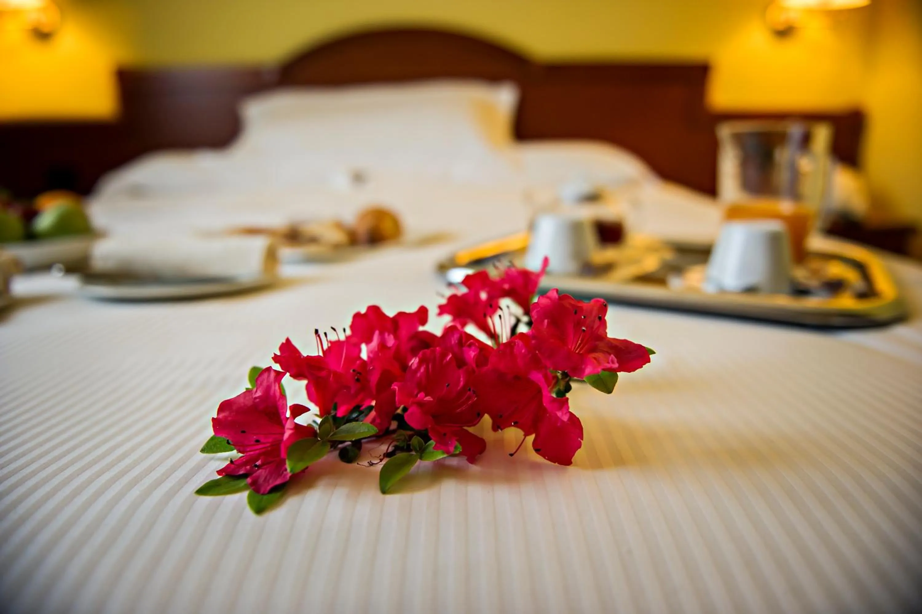 View (from property/room), Bed in Hotel Cinzia Ristorante Christian e Manuel