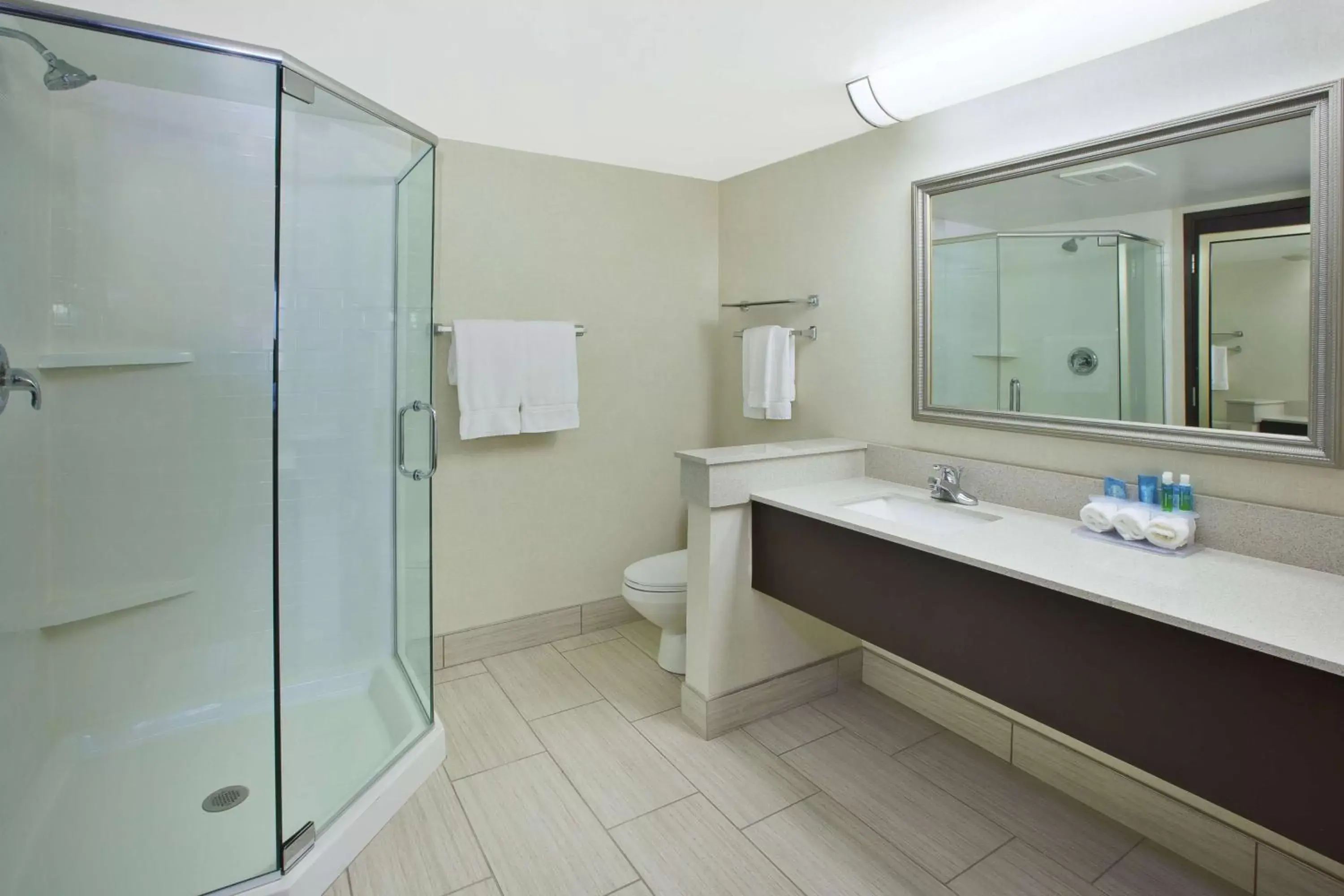 Bathroom in Best Western Okemos/East Lansing Hotel & Suites