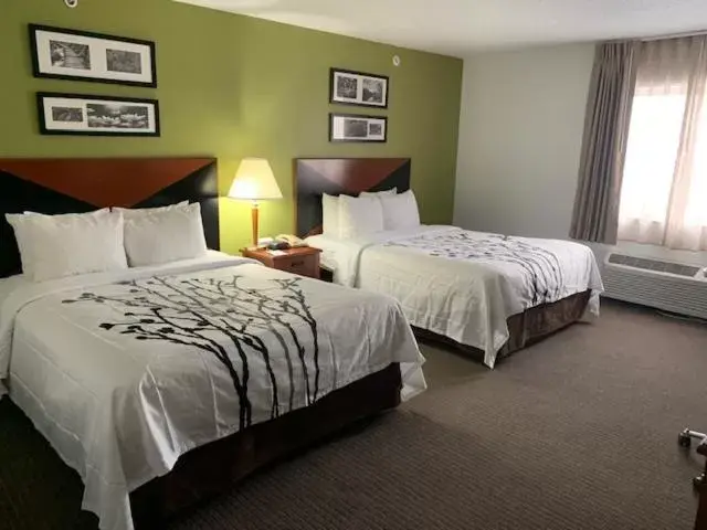 Queen Room with Two Queen Beds and Roll-In Shower -  Accessible/Non-Smoking in Sleep Inn South Bend Airport