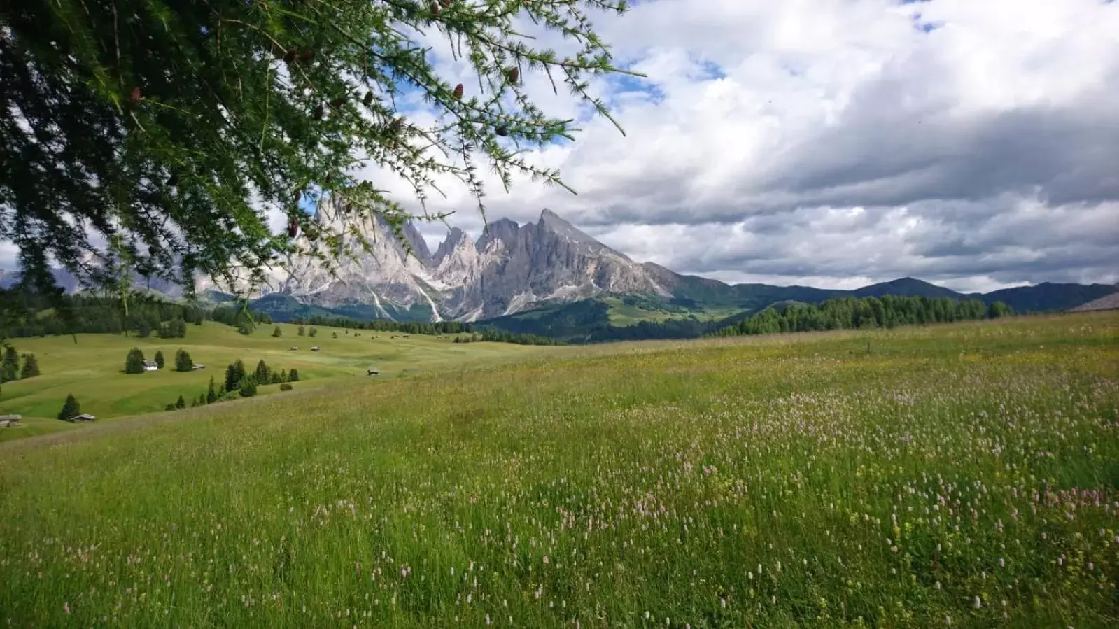 Natural Landscape in Villa Rier