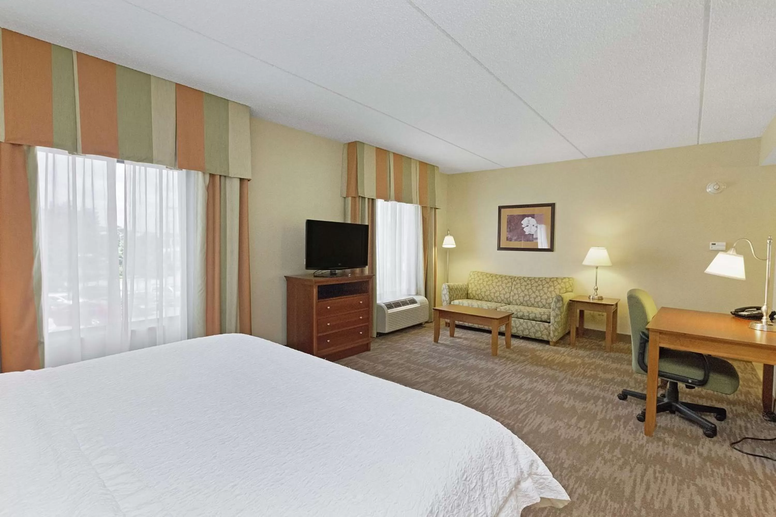 Living room, Bed in Hampton Inn & Suites Blairsville