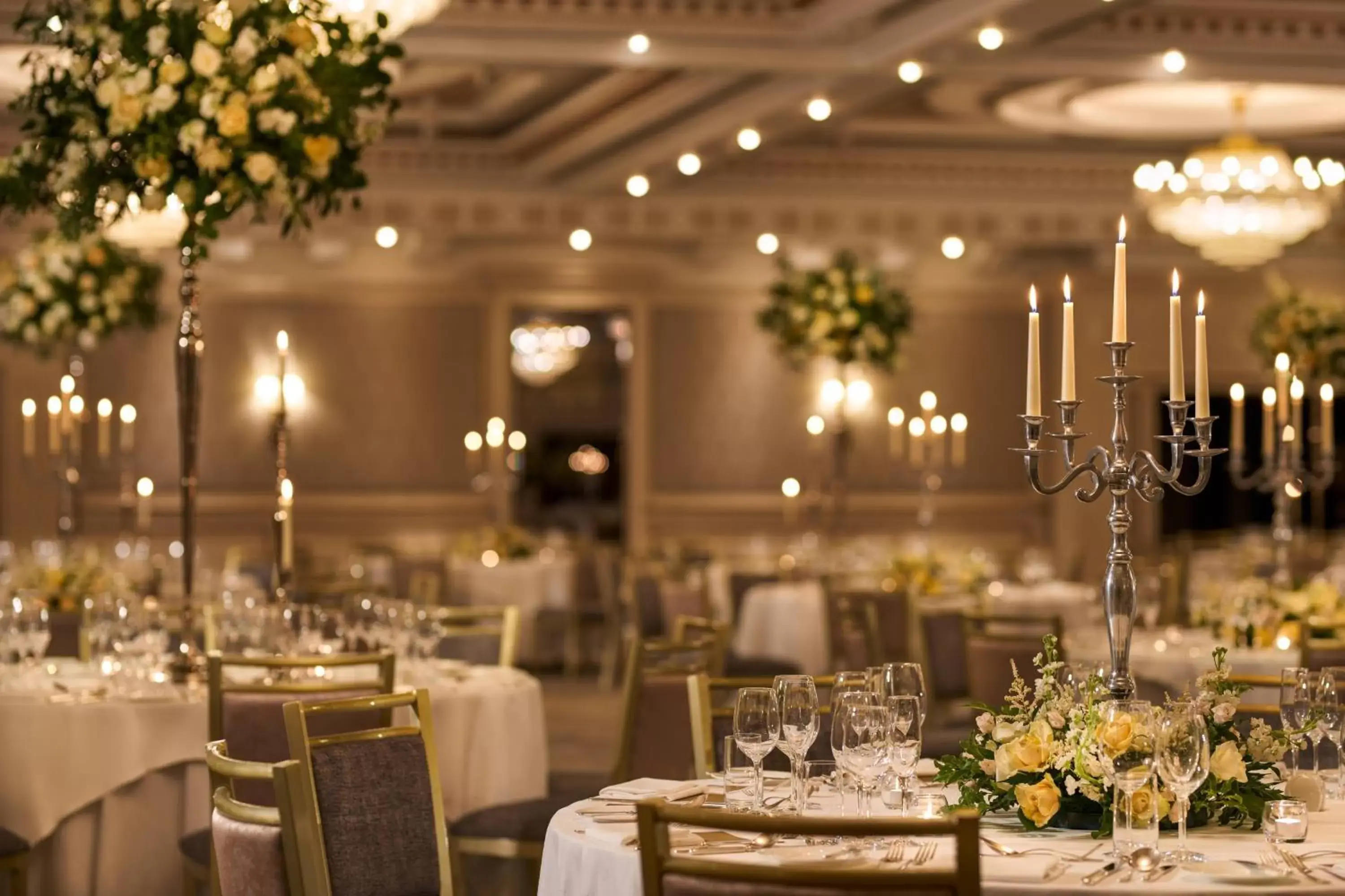 Banquet/Function facilities, Restaurant/Places to Eat in Powerscourt Hotel, Autograph Collection