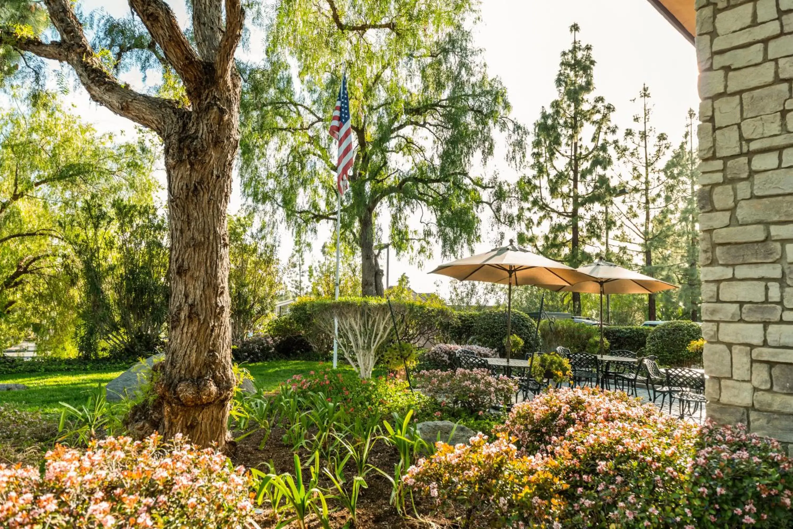 Patio, Garden in Ayres Lodge Alpine