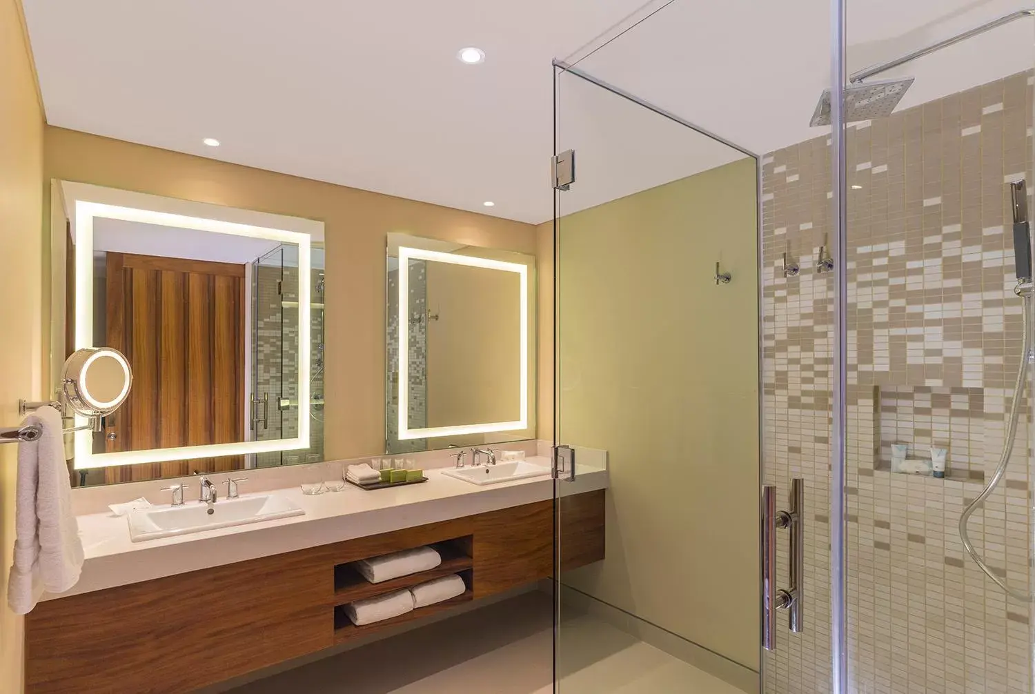 Shower, Bathroom in The Westin Cozumel