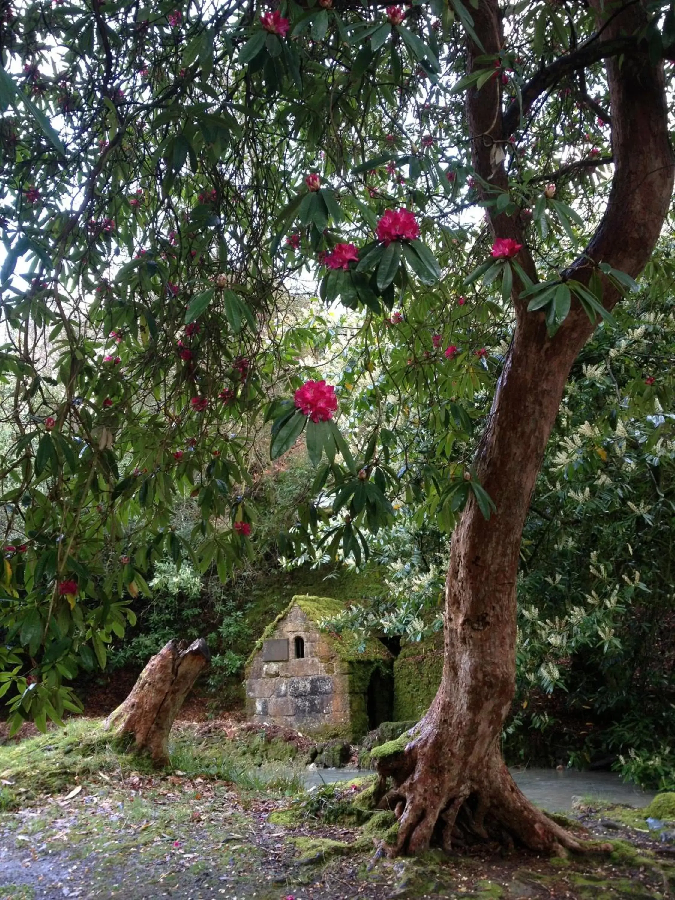 Area and facilities, Garden in The Waterwheel