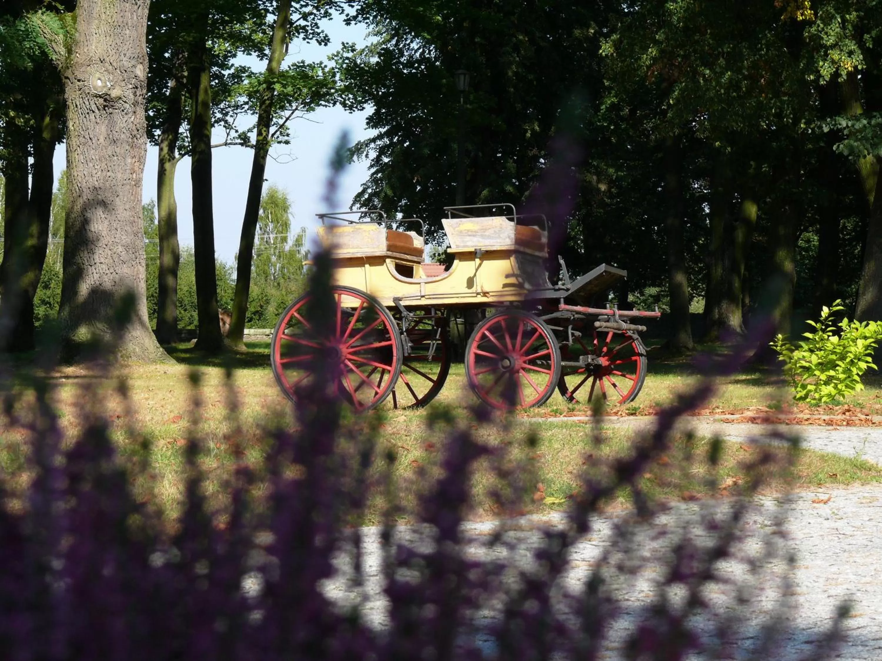 Garden in Dwór Zbożenna