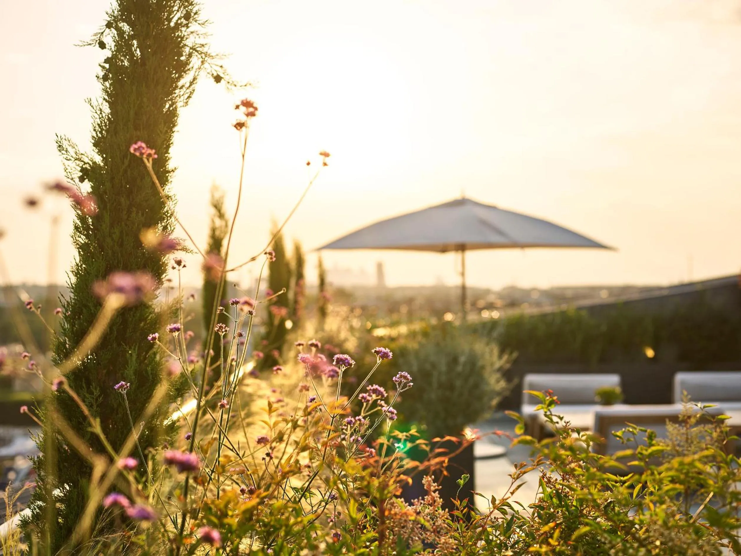 City view in Le Meurice – Dorchester Collection