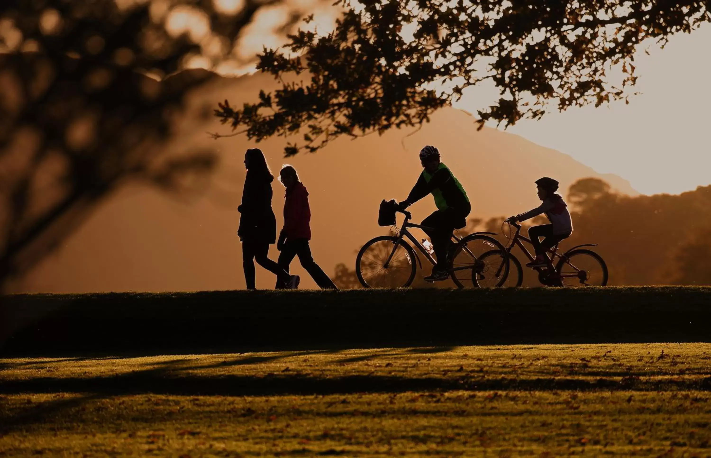 Cycling, Biking in Park Place Apartments