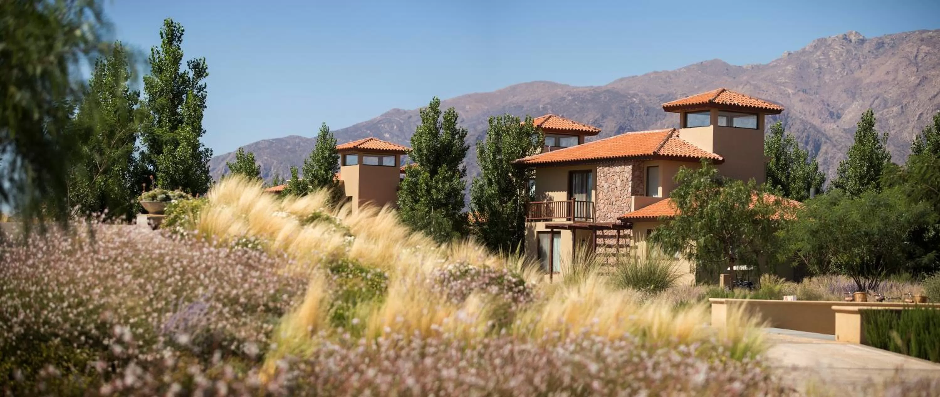 Property Building in Grace Cafayate