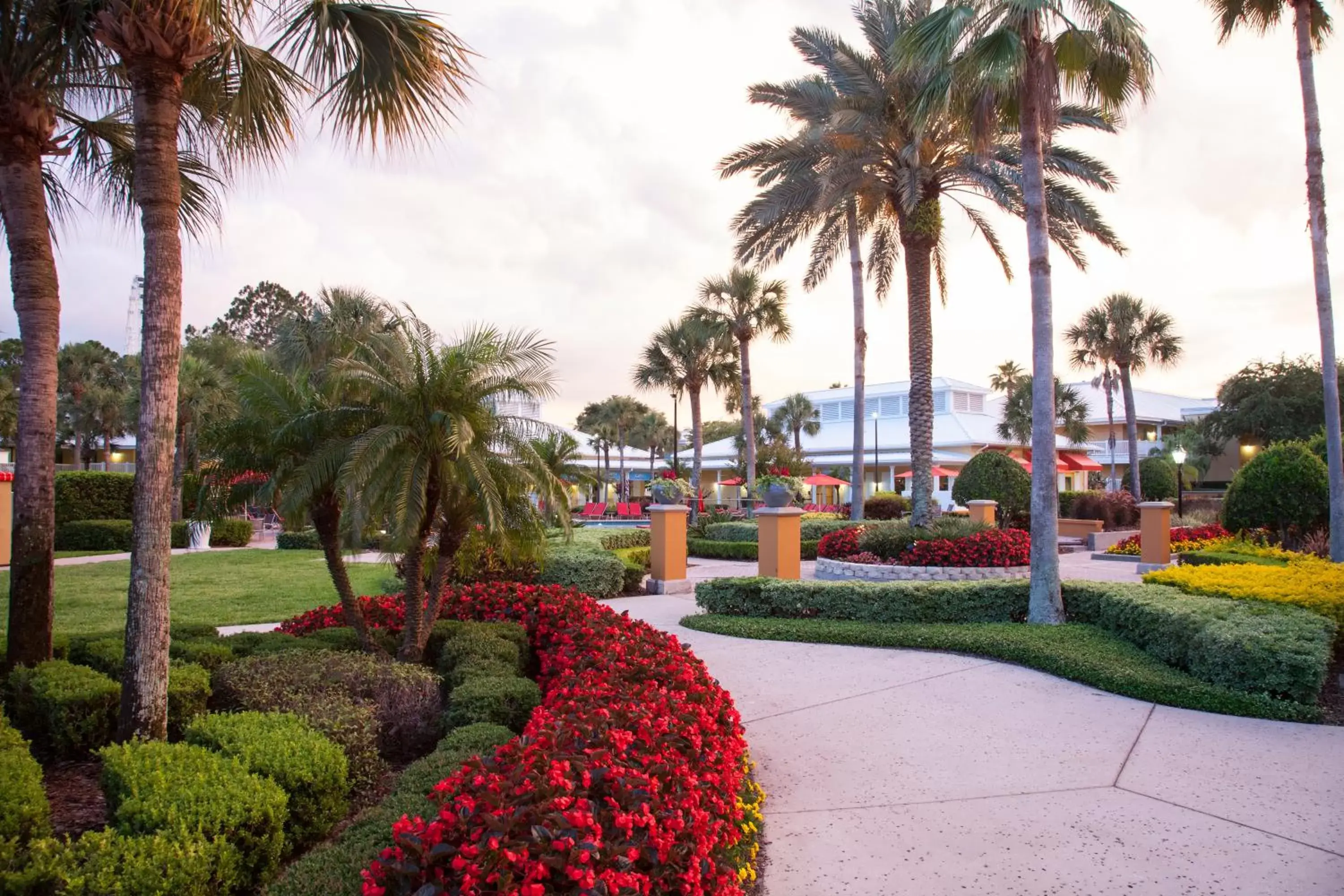 Garden in Wyndham Orlando Resort International Drive