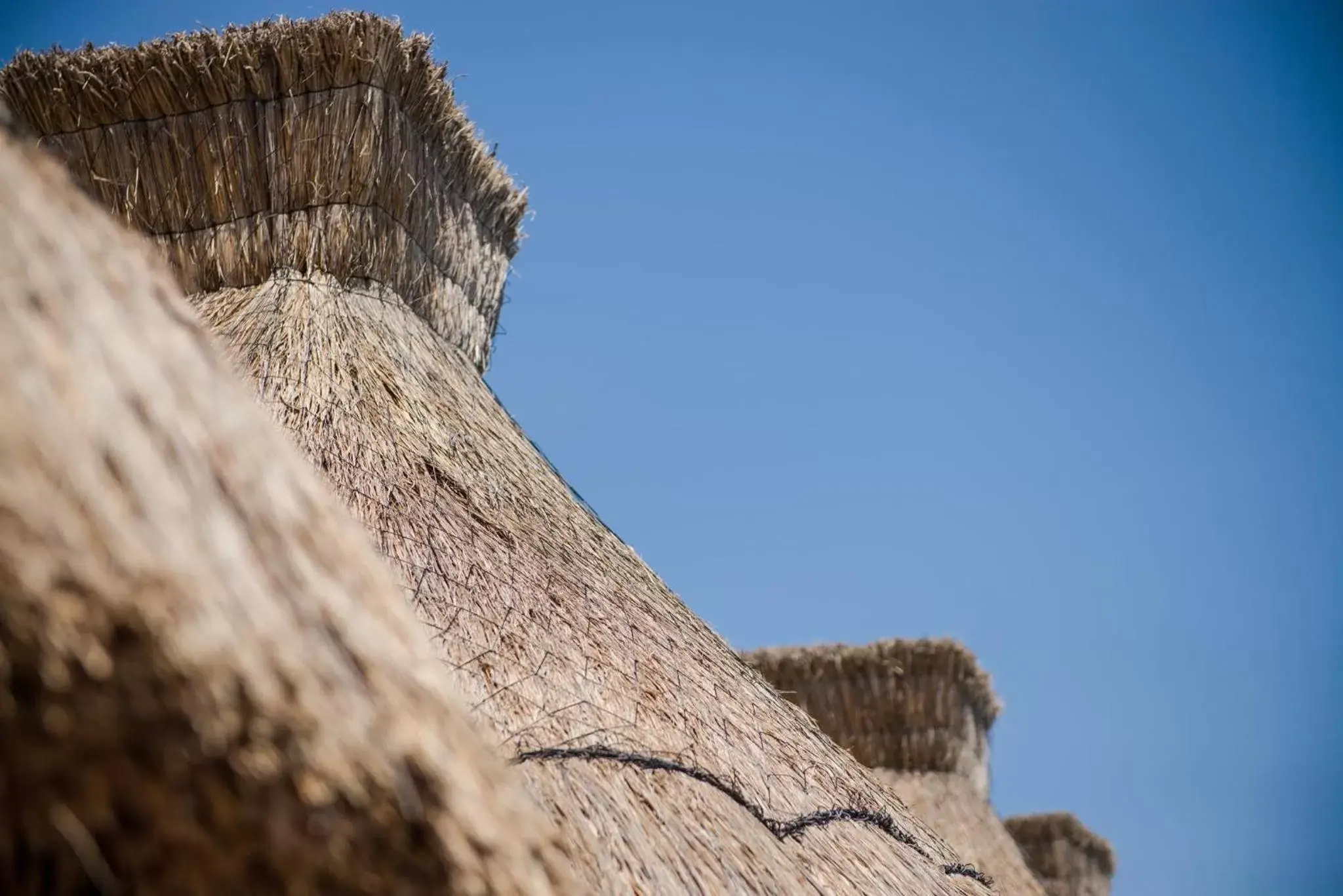 Property building, Natural Landscape in Naay Tulum Curamoria Collection