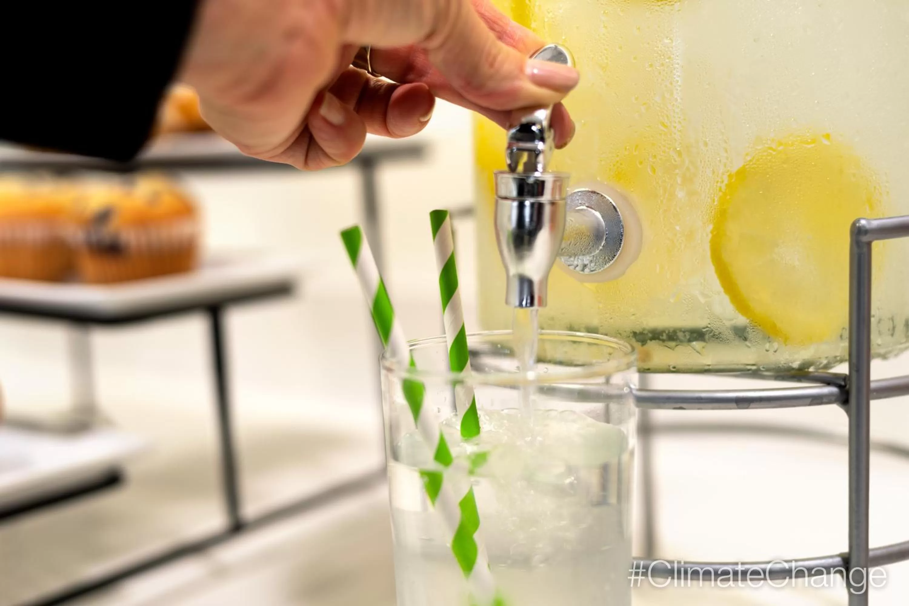 Meeting/conference room in Holiday Inn Express Hotel & Suites Mount Pleasant - Charleston by IHG