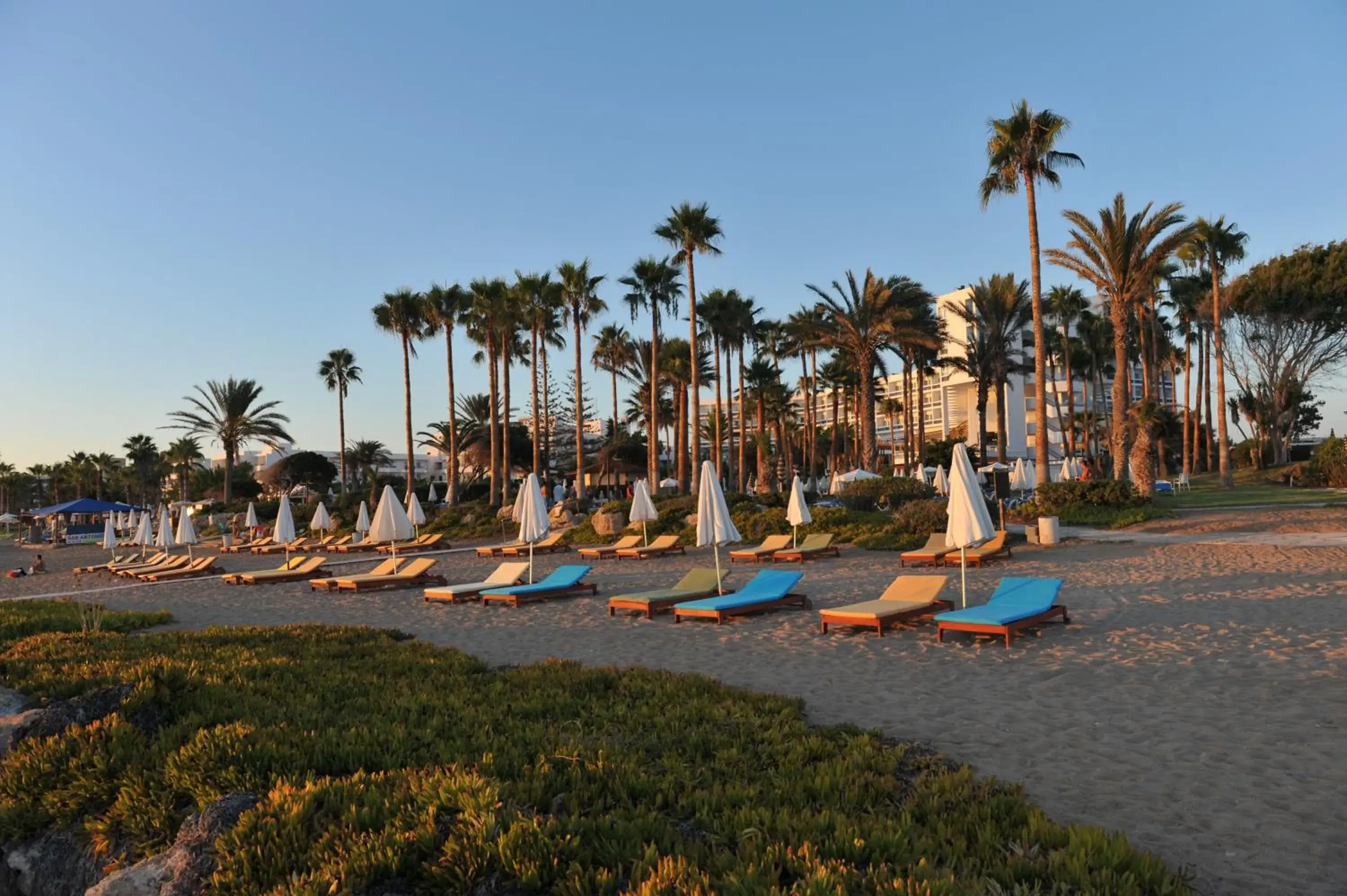 Beach in Leonardo Cypria Bay