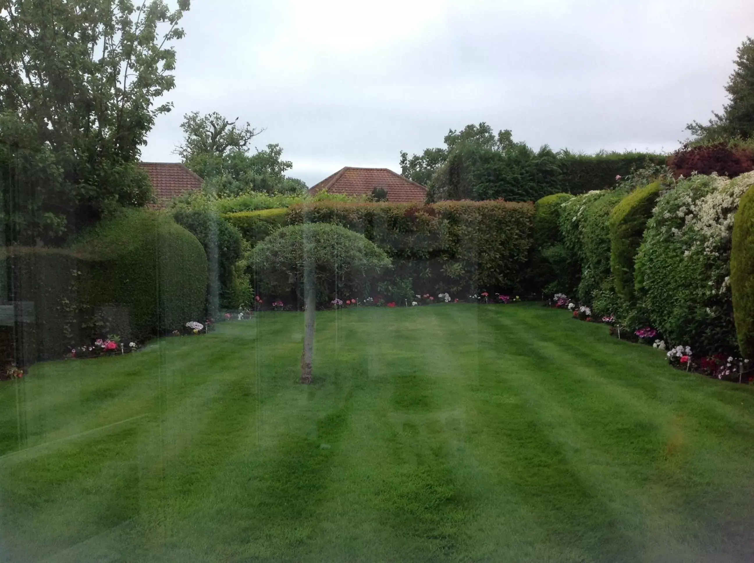 Garden in Ragged Hall Lane