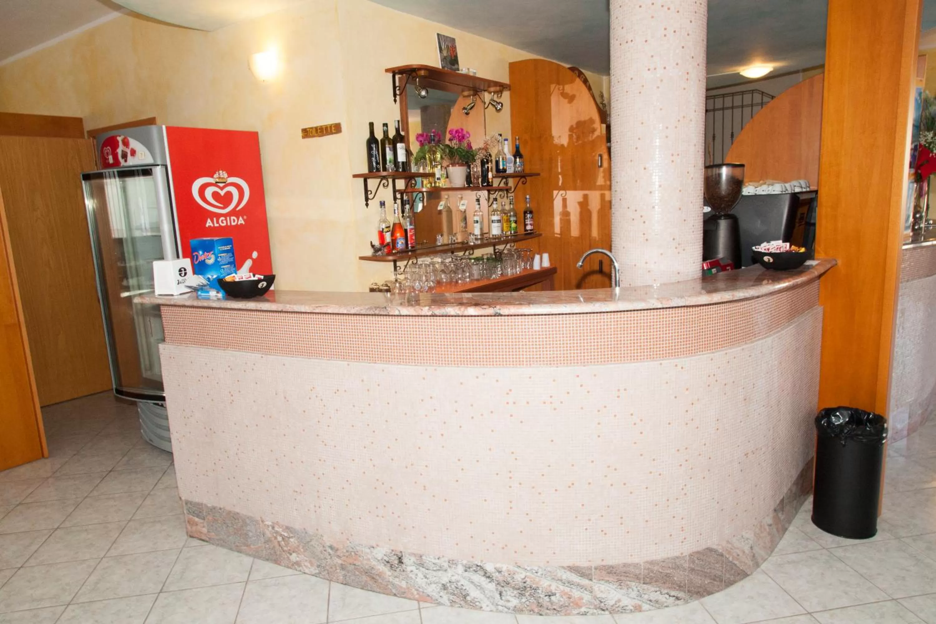 Lounge or bar in Hotel Jasmine