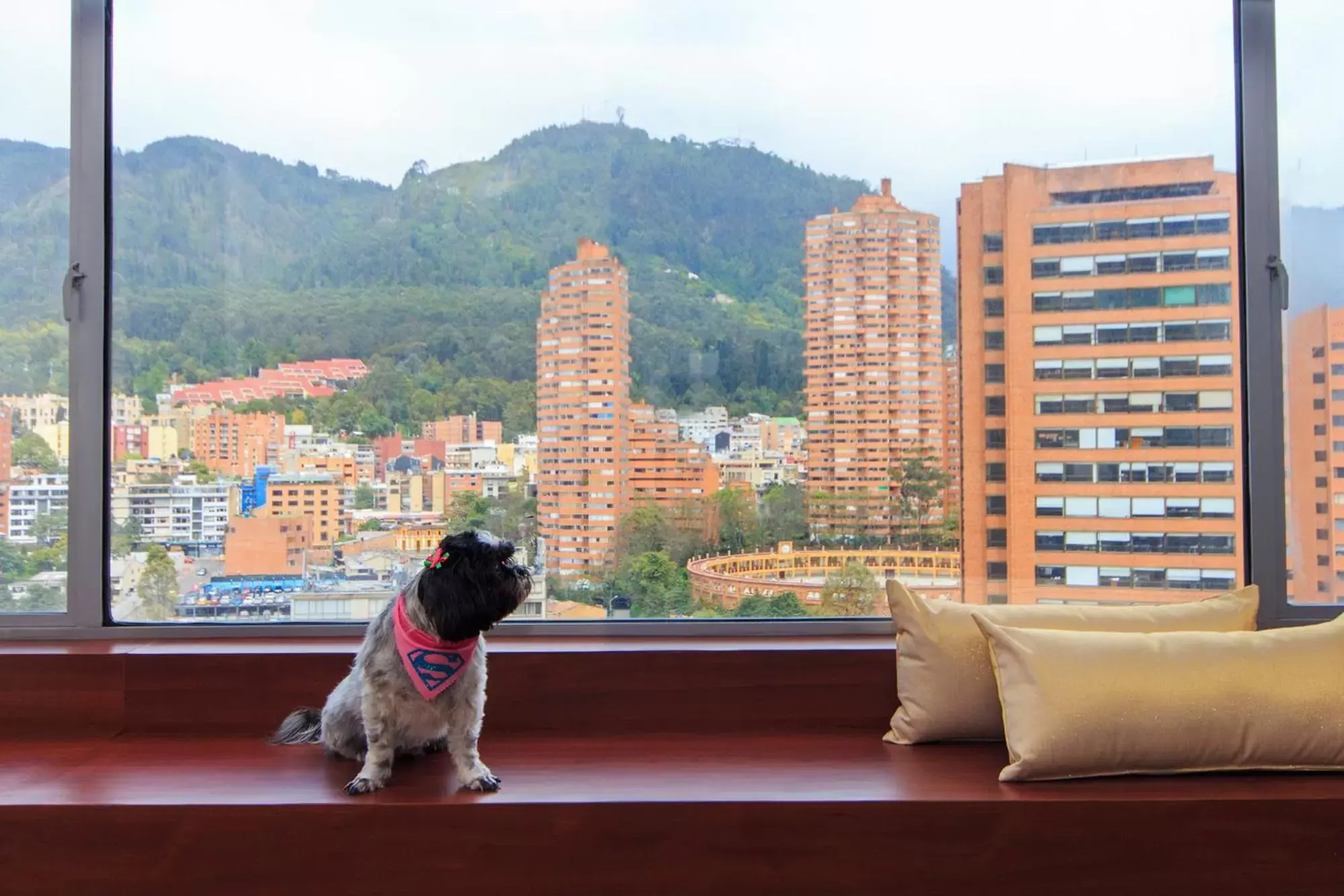 Nearby landmark in Tequendama Suites and Hotel