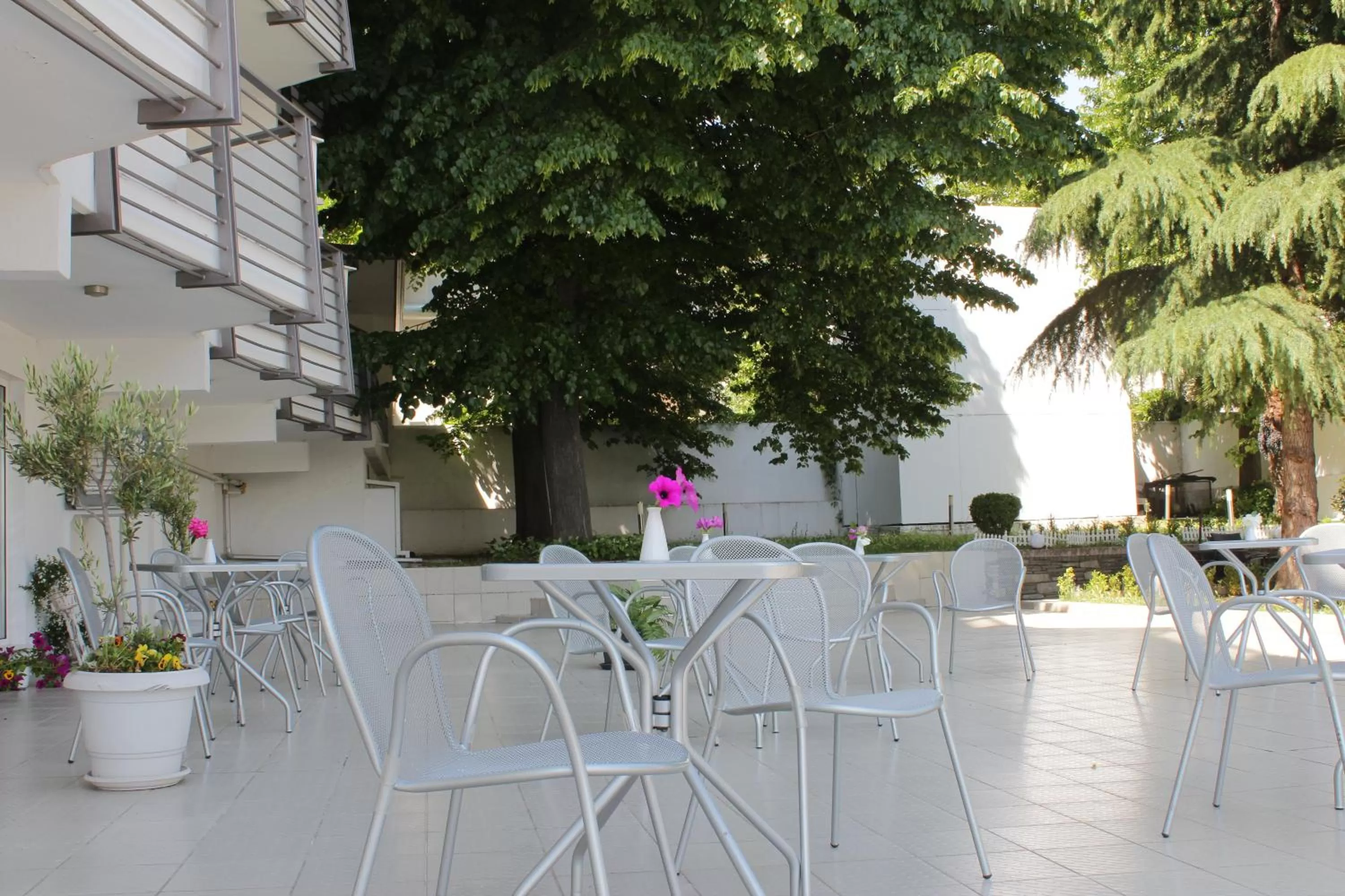 Restaurant/places to eat in Galaxy Art Hotel