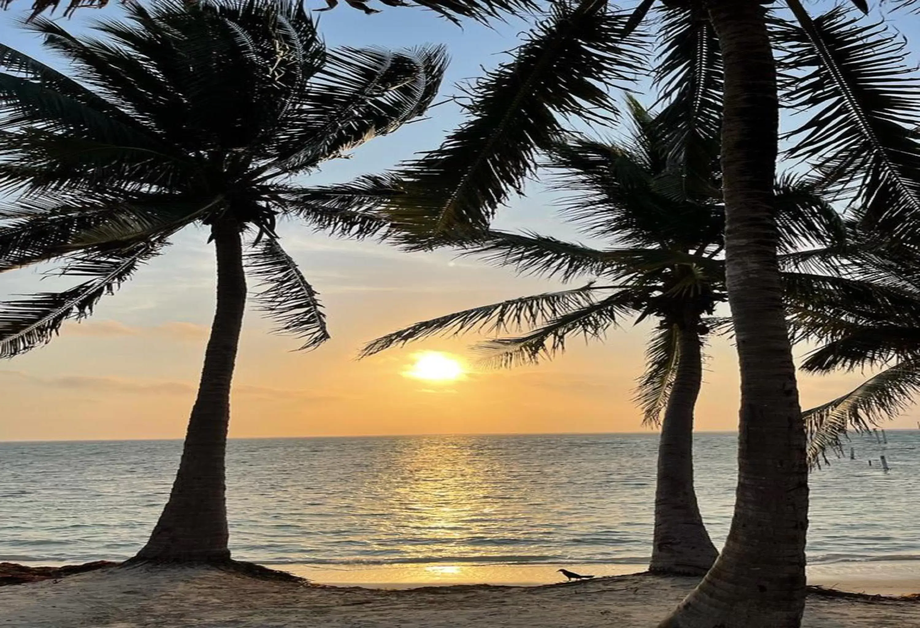 Sunrise in Ocean Tide Beach Resort