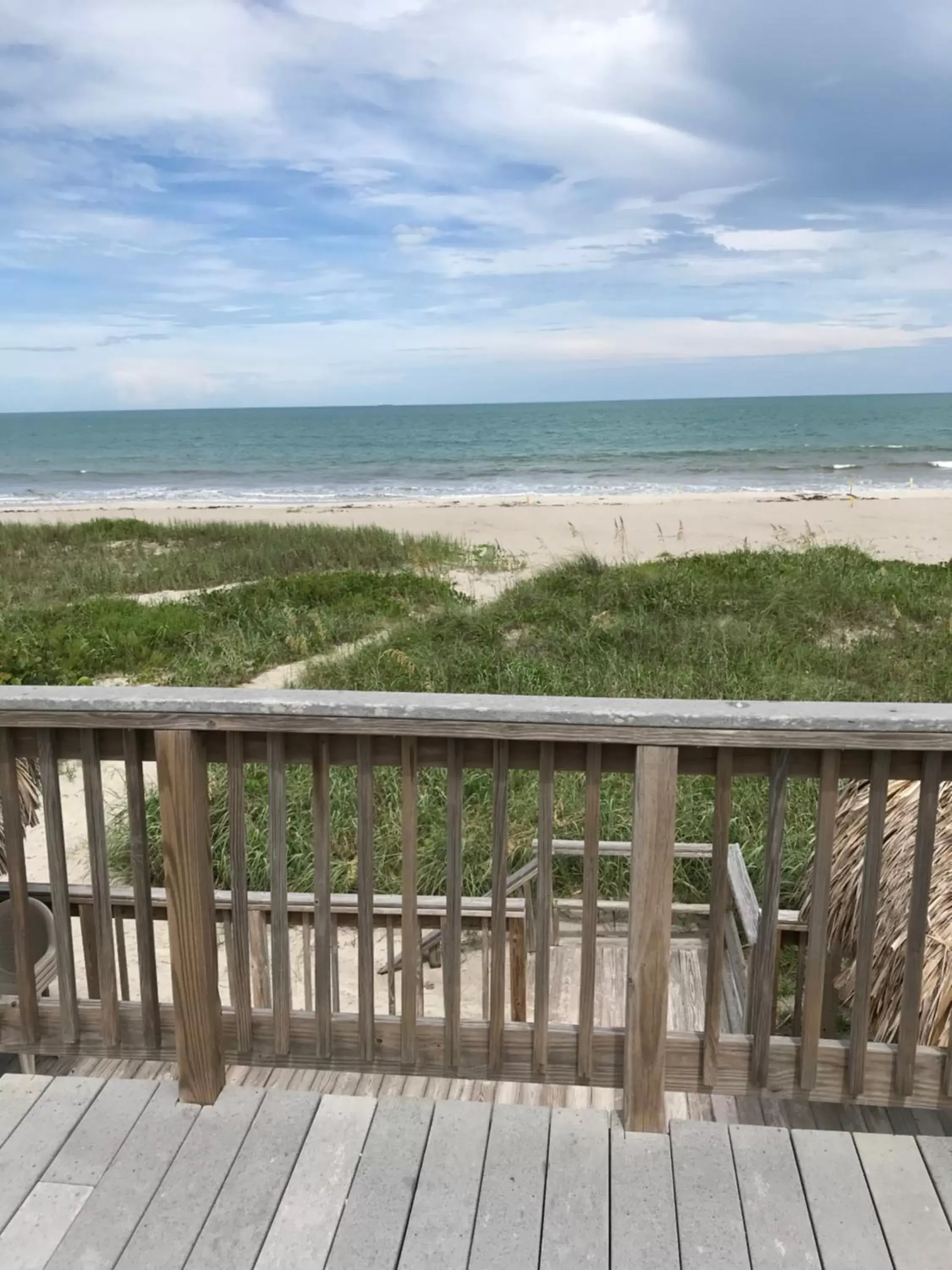 Natural landscape in Anthony's on the Beach