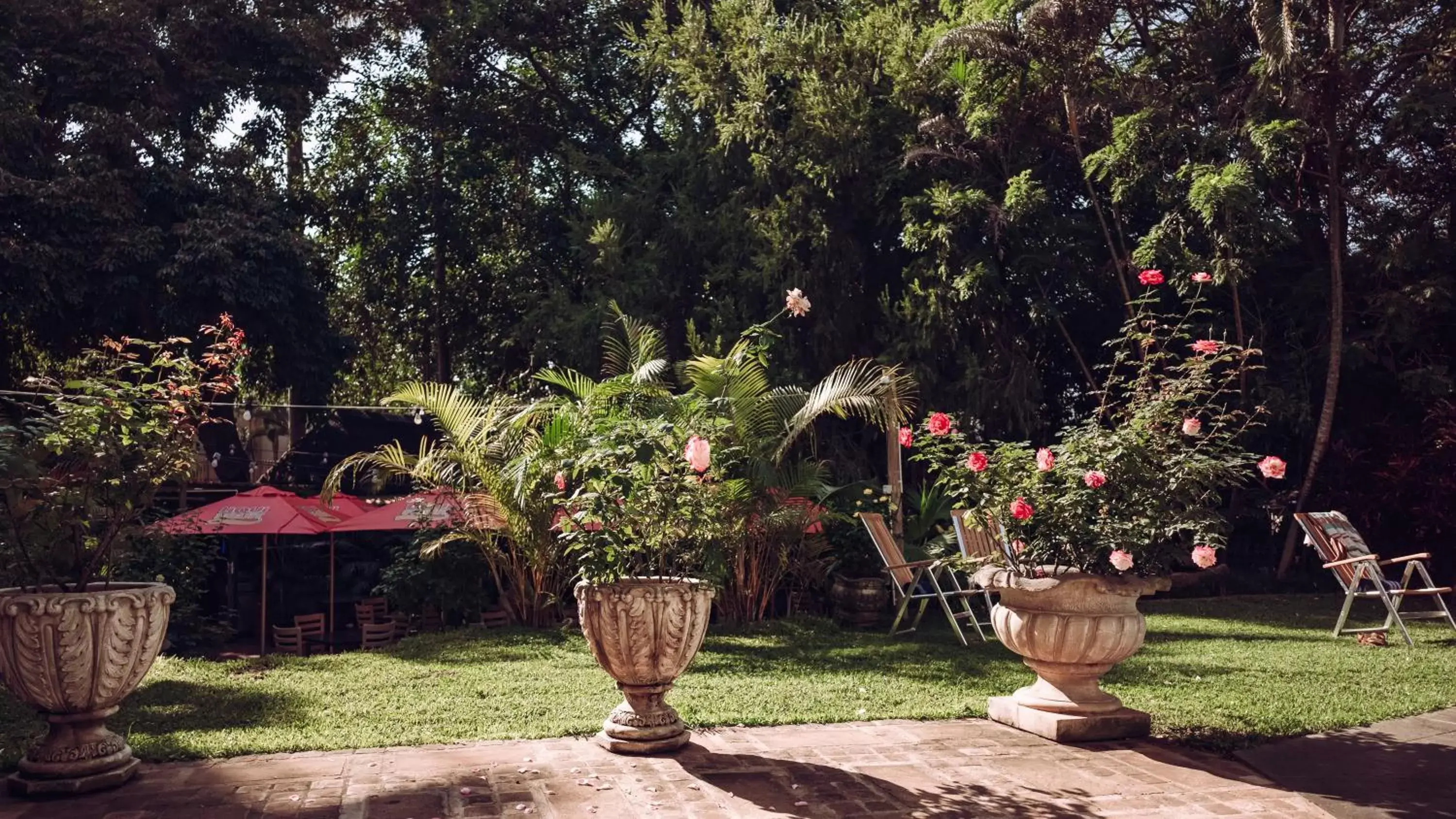 Garden in Beside Still Waters Boutique Hotel