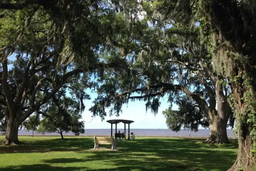 Garden in Country Inn & Suites by Radisson, Covington, LA