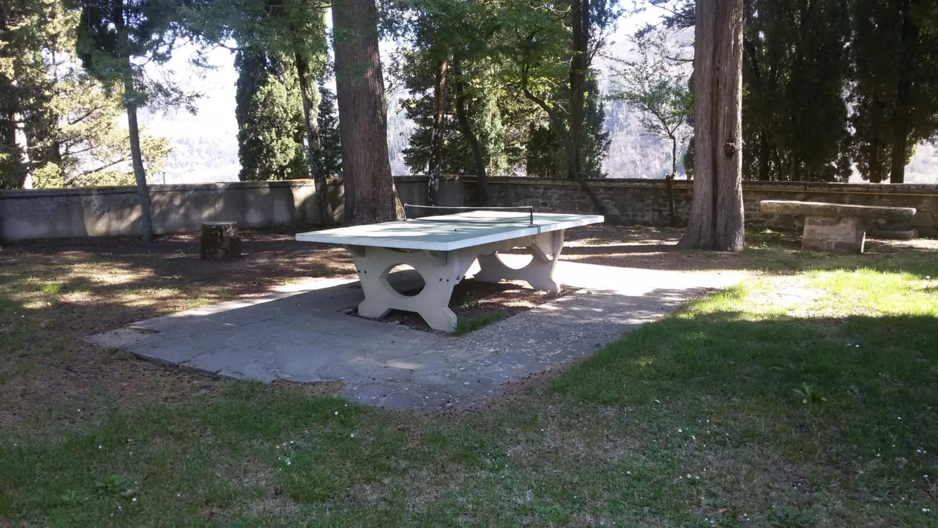 Table tennis, Garden in Villa Pitiana