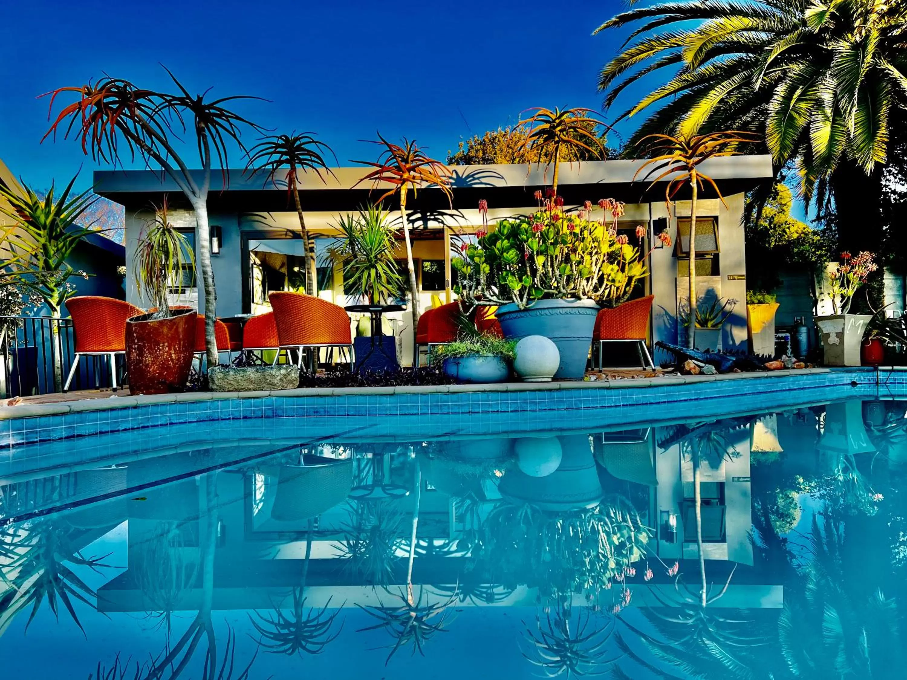 Swimming Pool in 24 On Basil Inventive suites