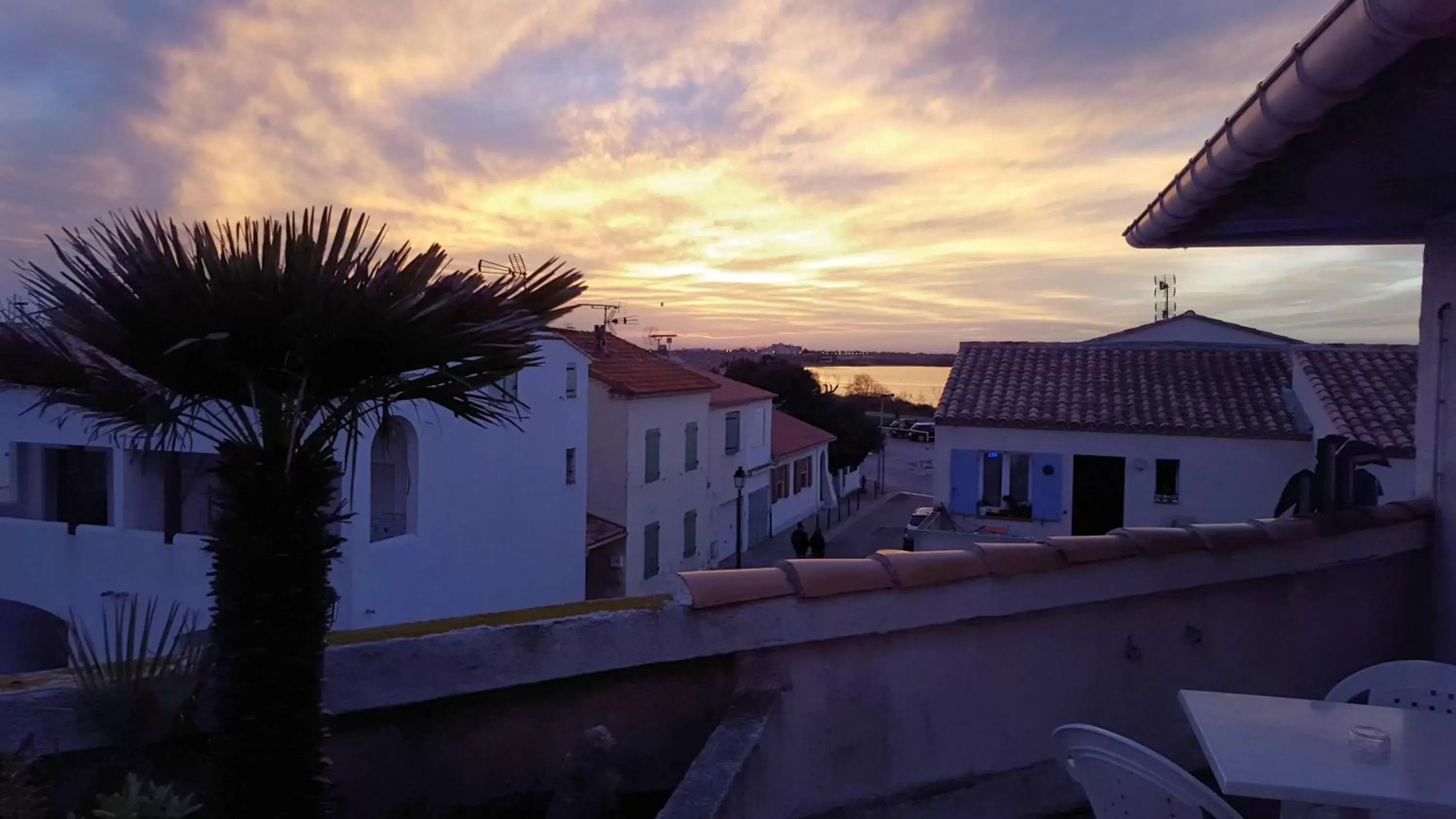 Lake view in Hotel Les Palmiers En Camargue