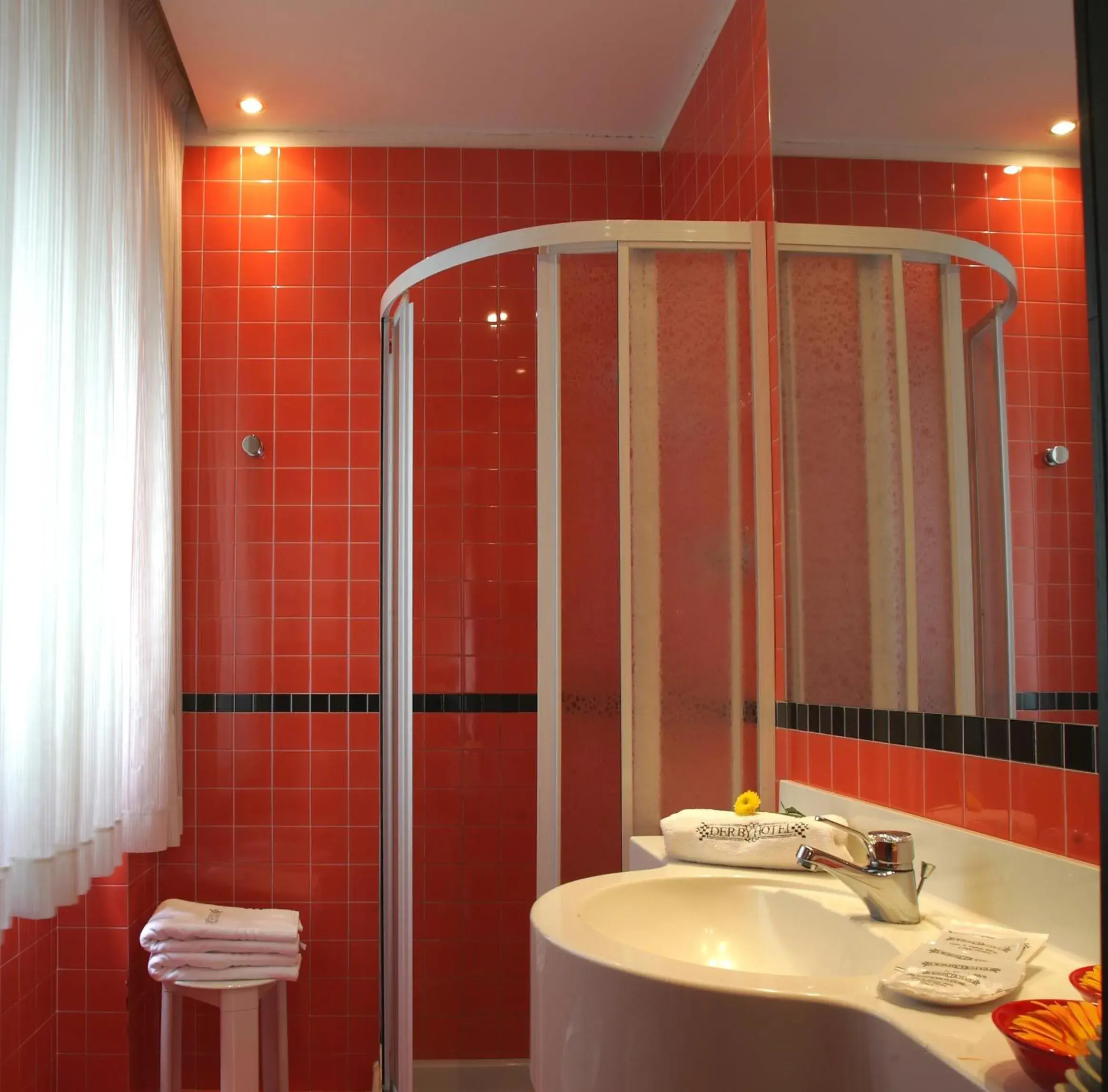 Shower, Bathroom in Hotel Derby