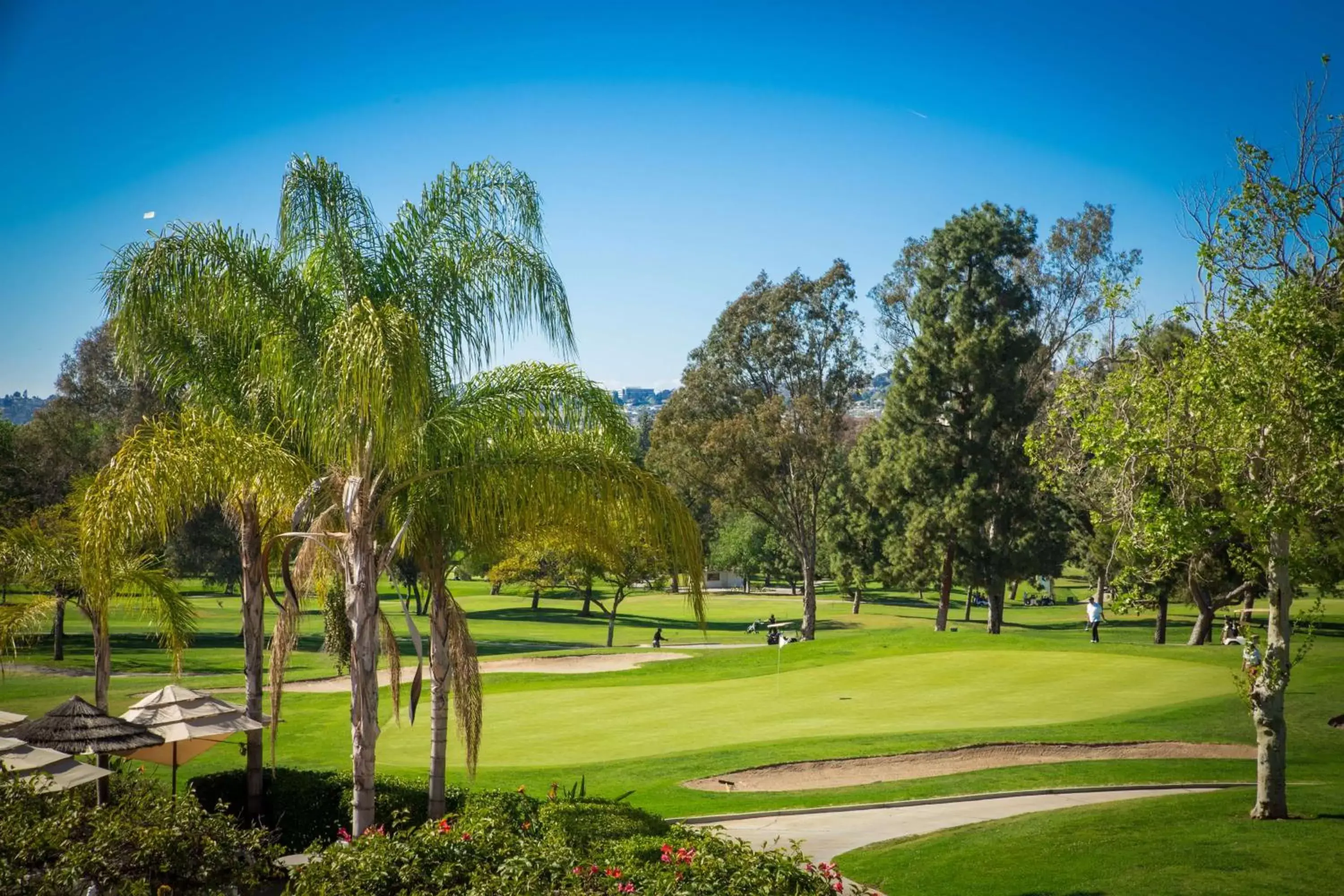 Sports in Hilton Garden Inn Montebello / Los Angeles