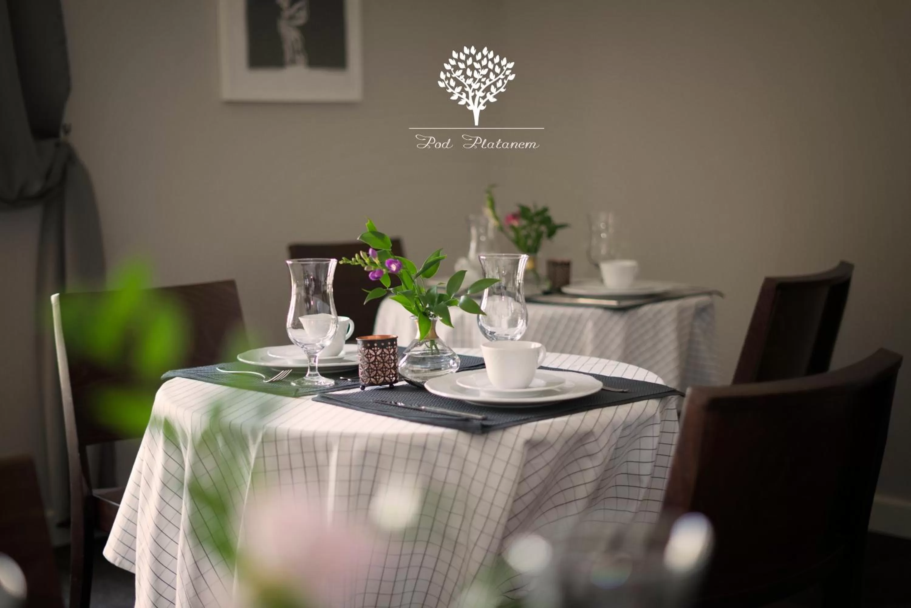 Restaurant/Places to Eat in Pod Platanem Gliwice