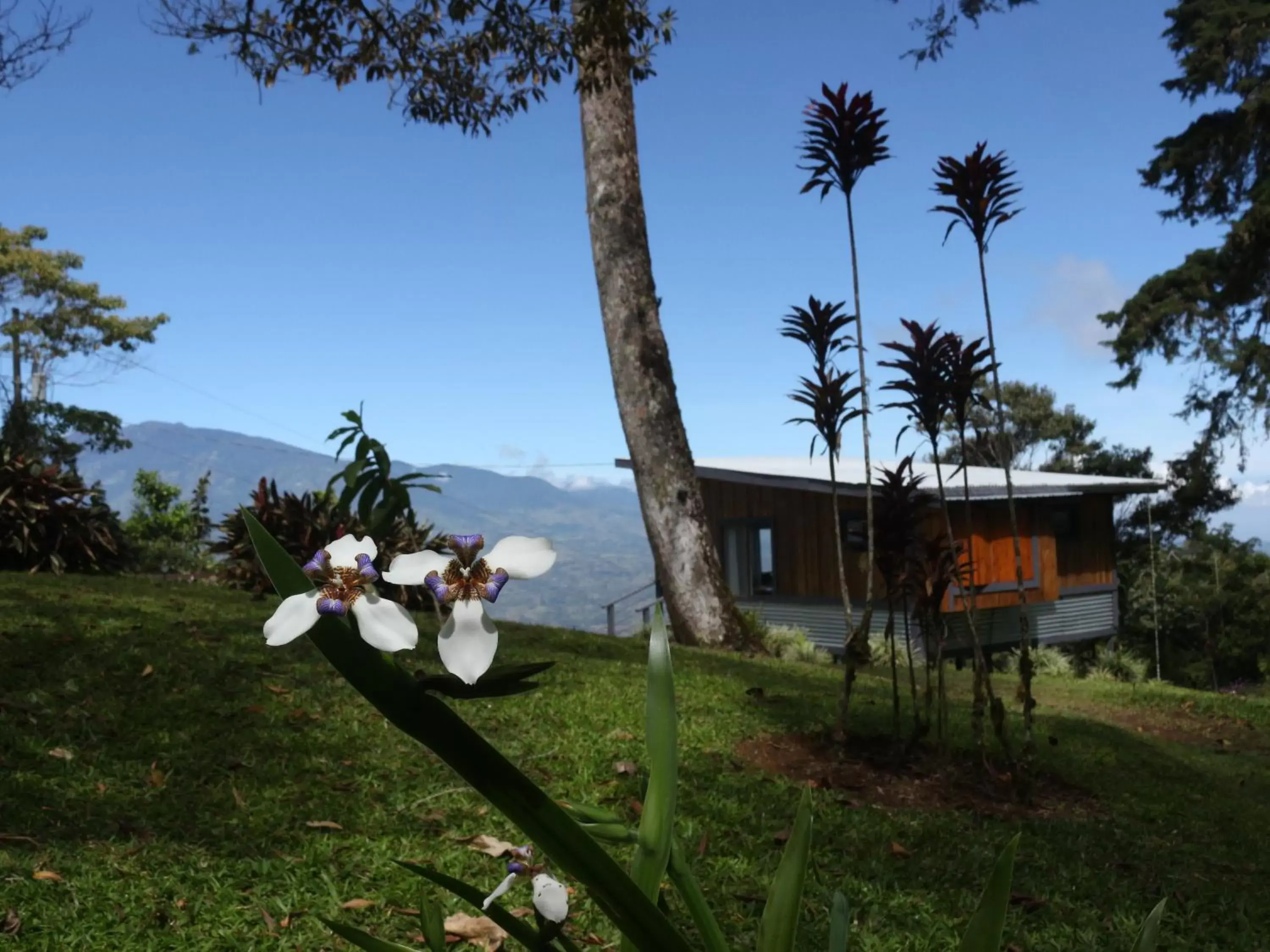 Property building, Garden in The Lodge at Reventazon River Mountain Ranch