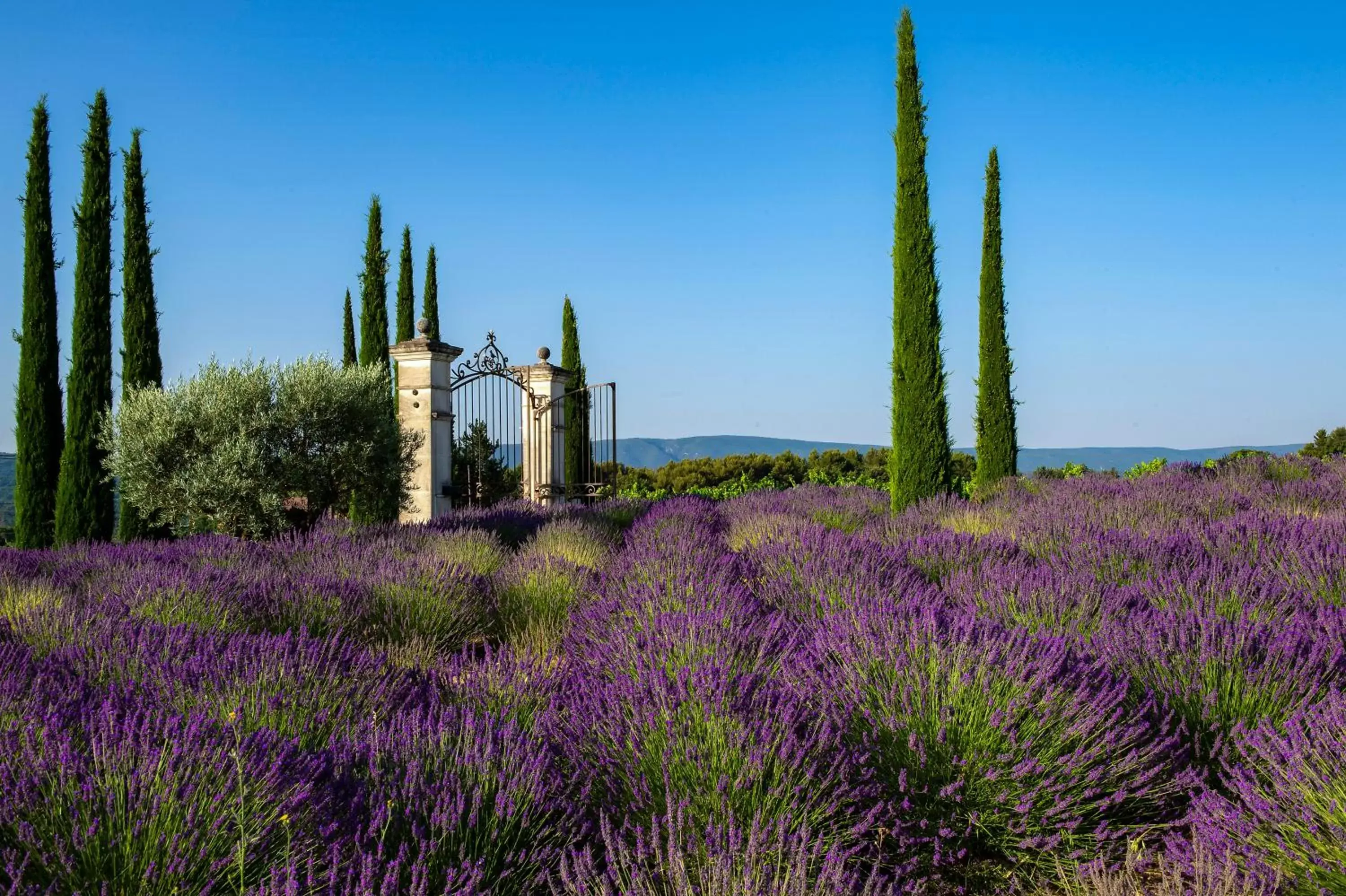 Facade/entrance in Coquillade Provence