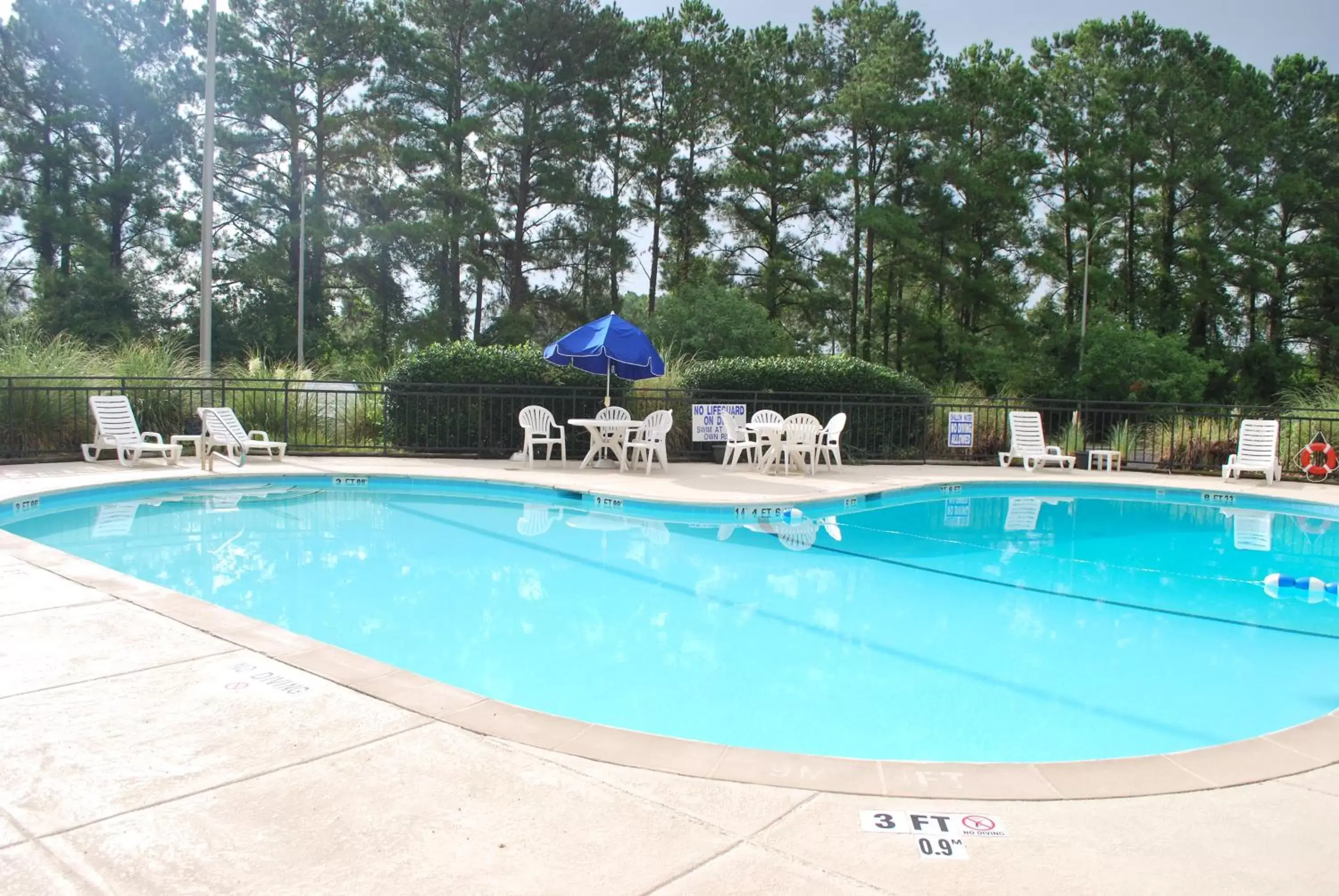 Swimming Pool in Wyndham Garden Summerville