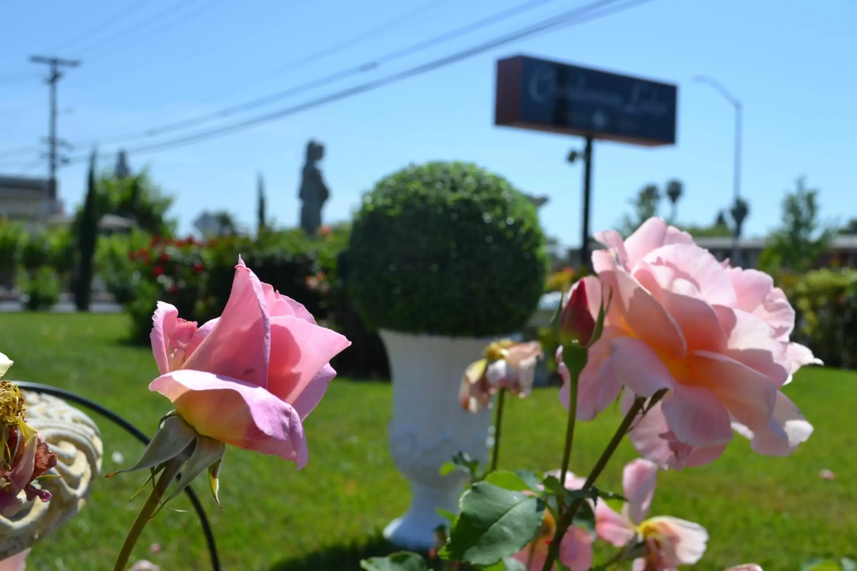 Day, Garden in Chardonnay Lodge